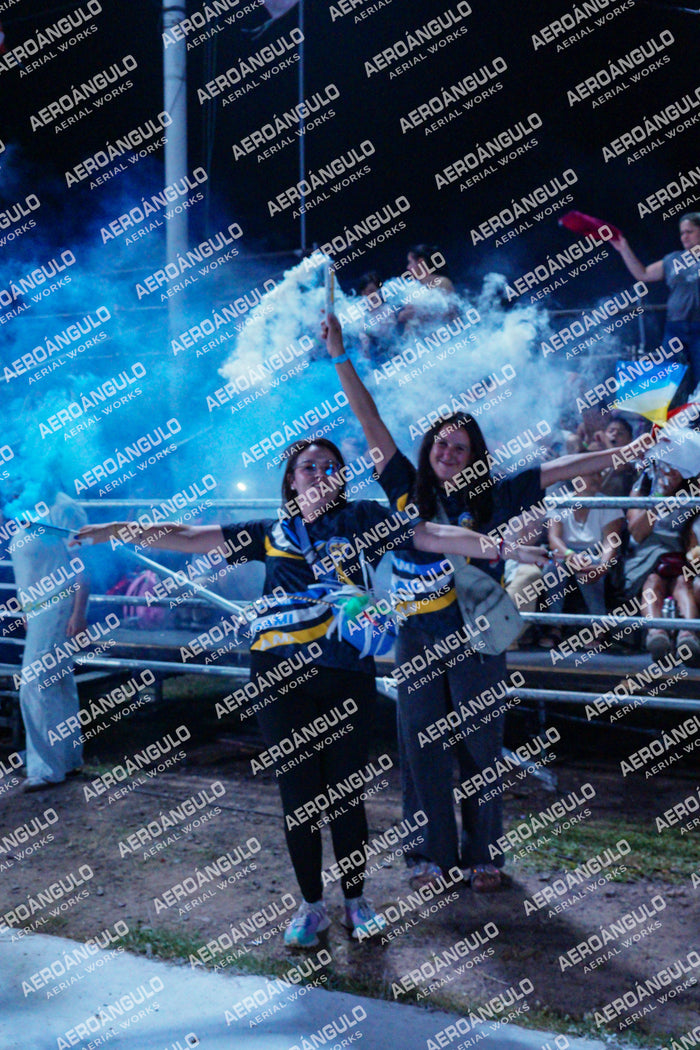 GoyaDia1 N°164