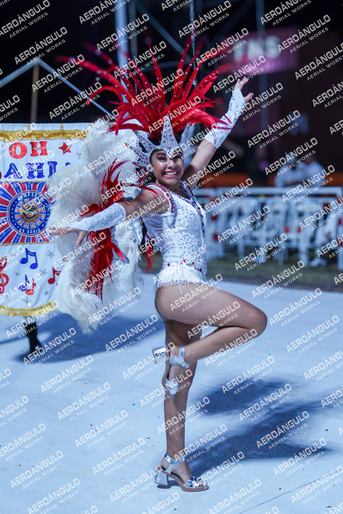 GoyaDia1 N°17