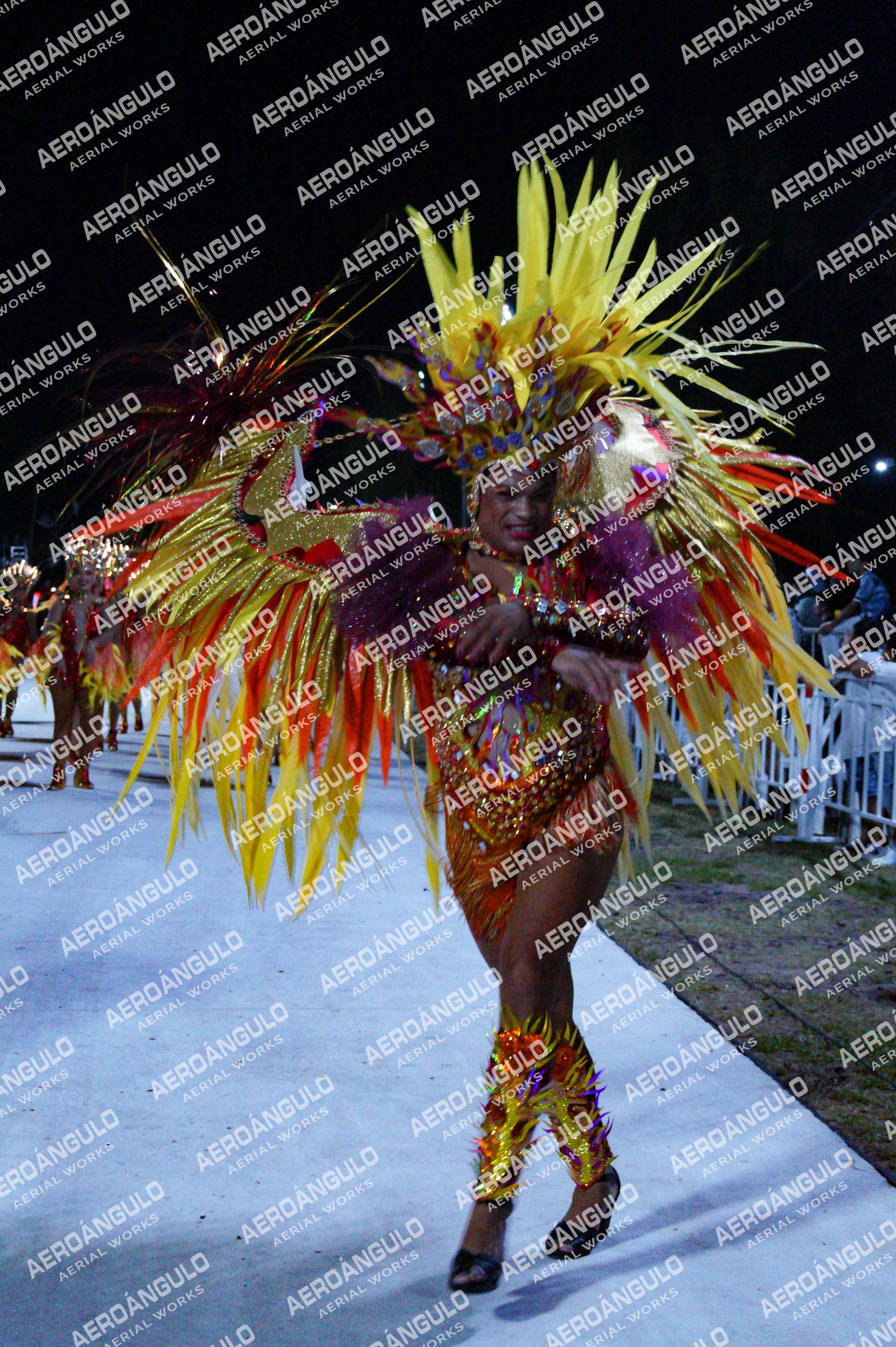 GoyaDia1 N°176