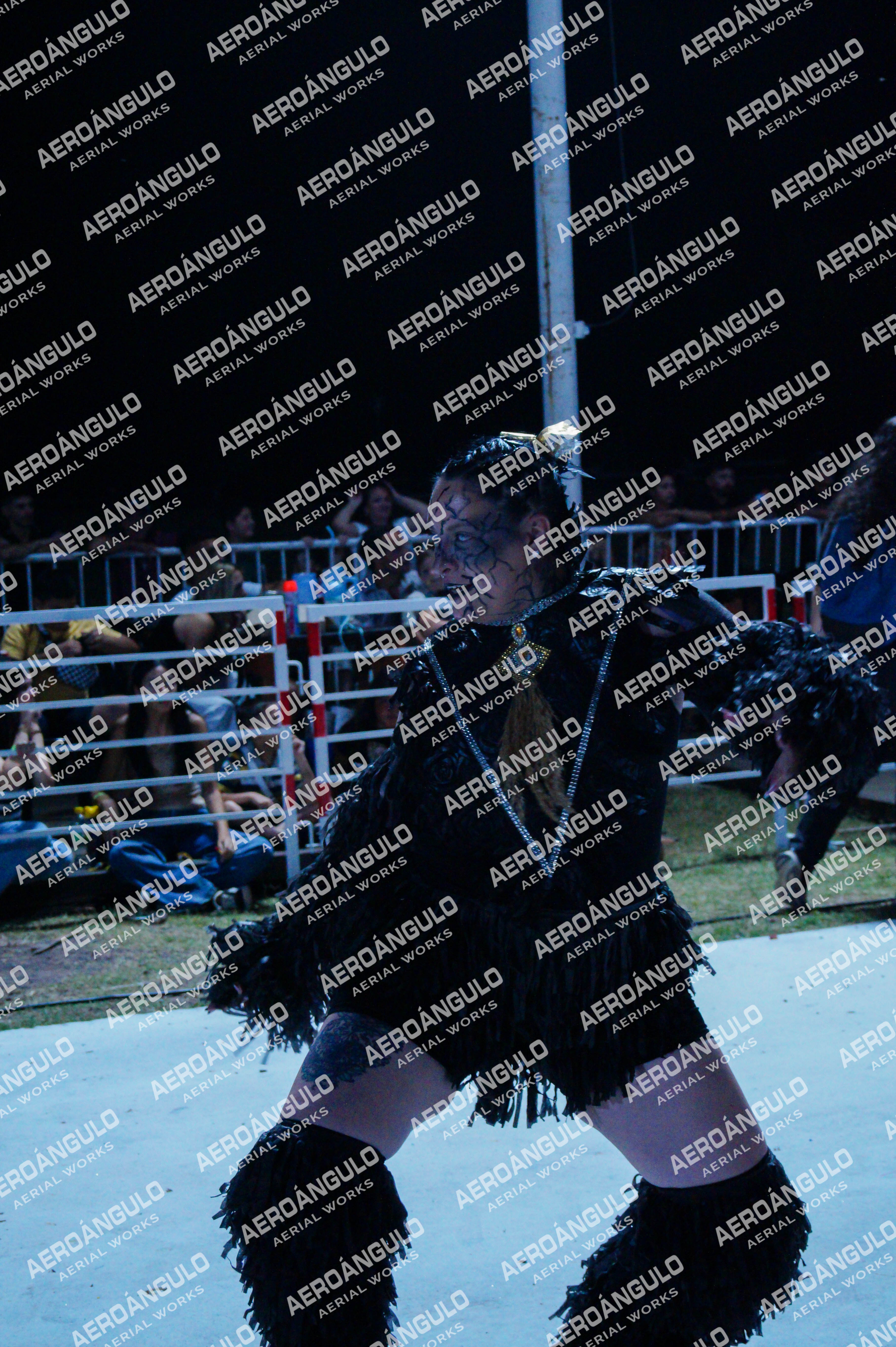 GoyaDia1 N°212