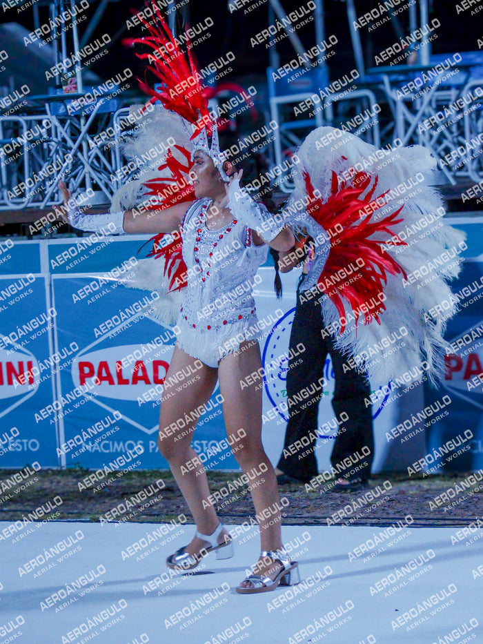GoyaDia1 N°23