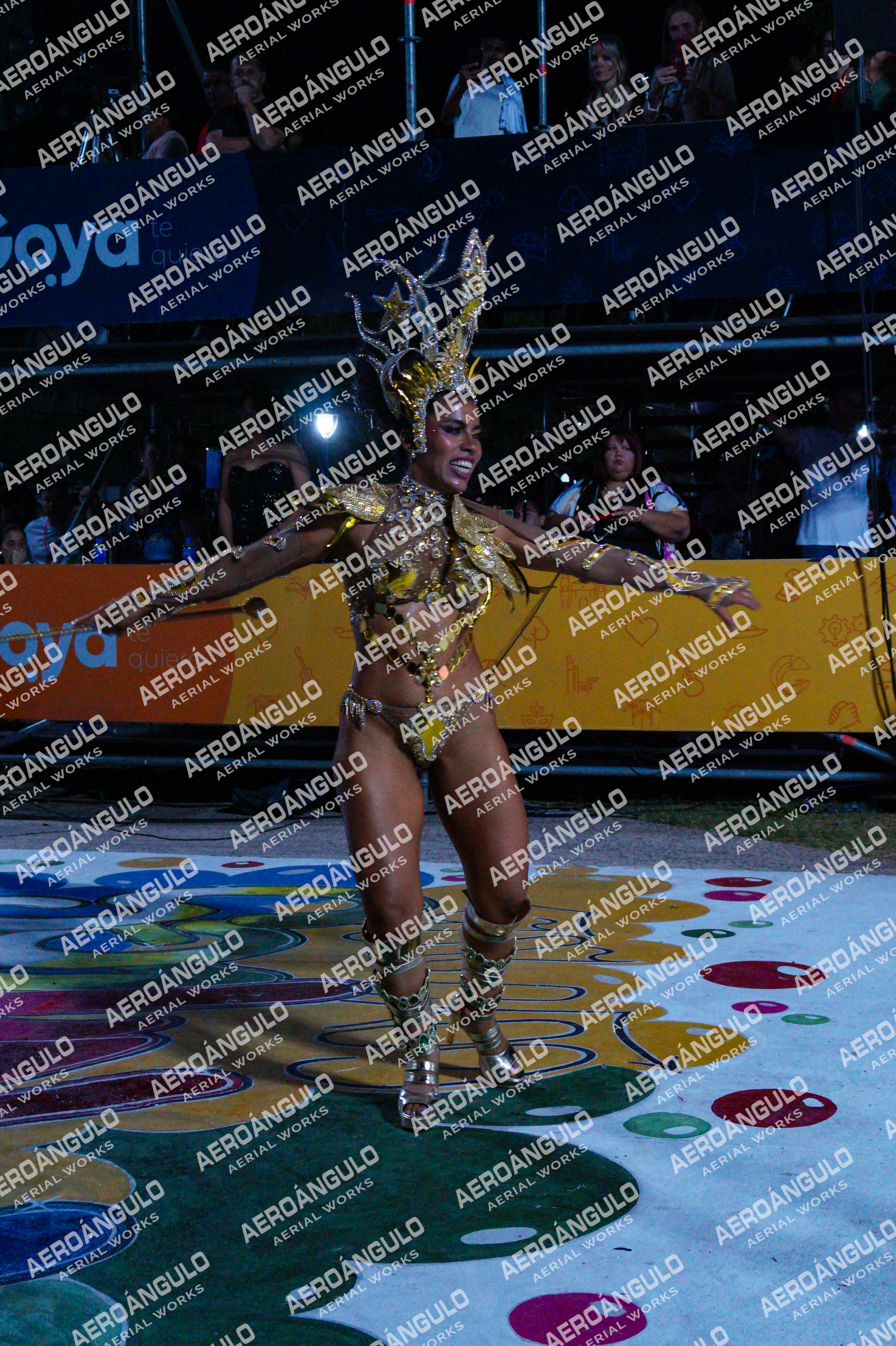 GoyaDia1 N°258