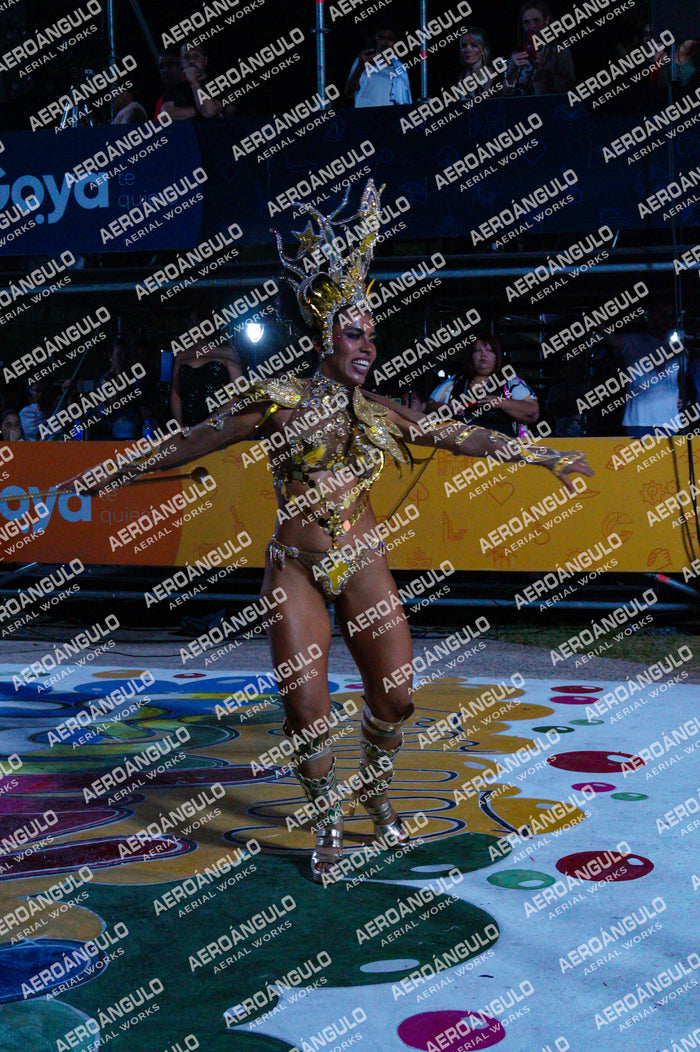 GoyaDia1 N°258