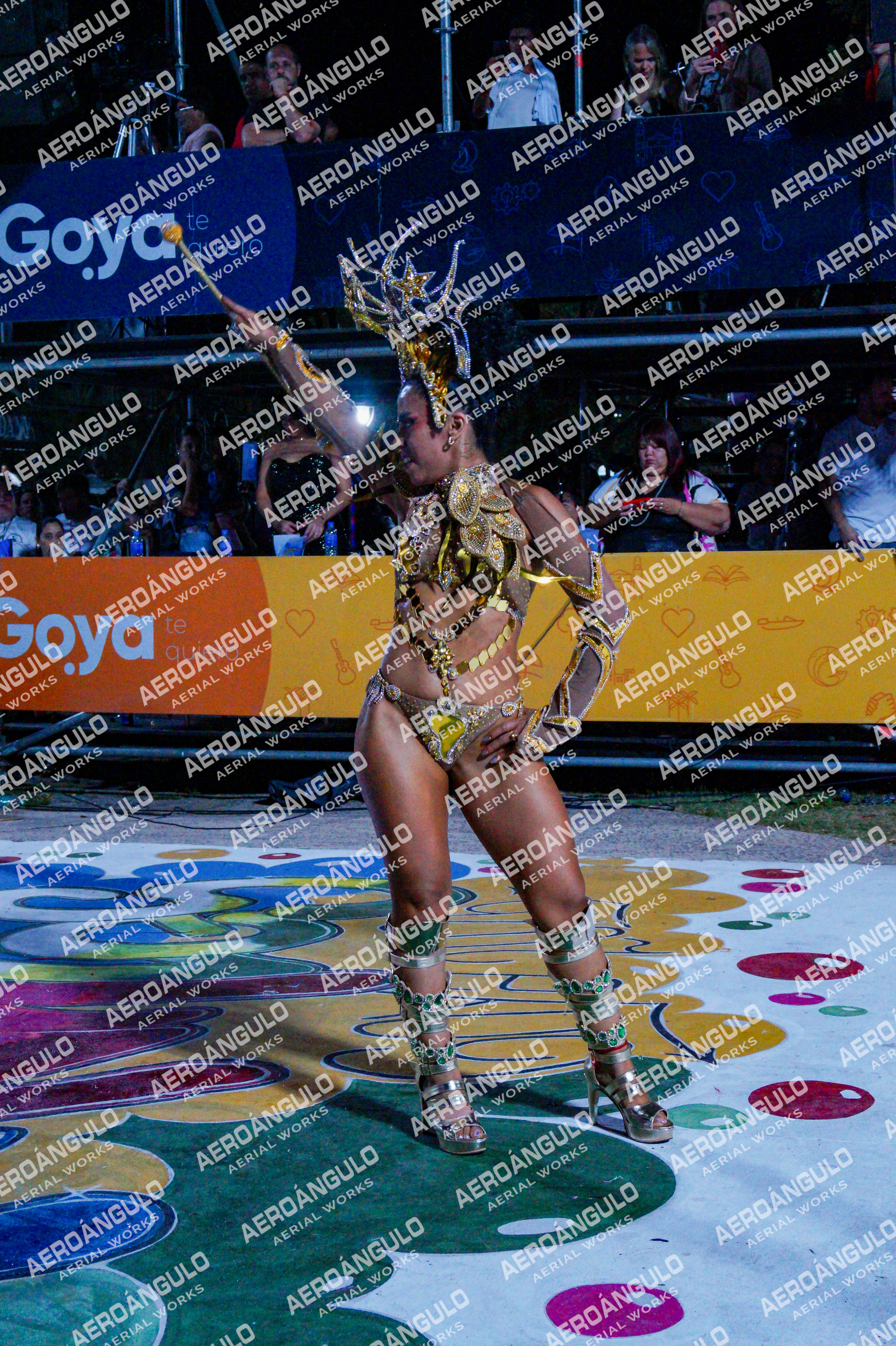GoyaDia1 N°259