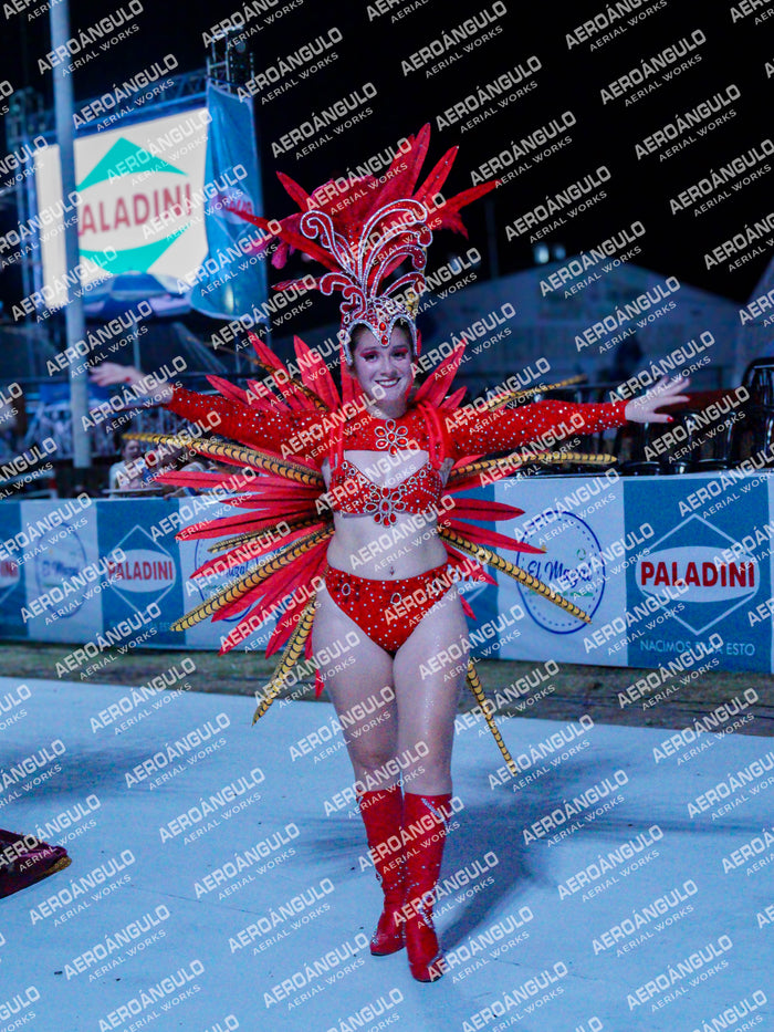 GoyaDia1 N°27