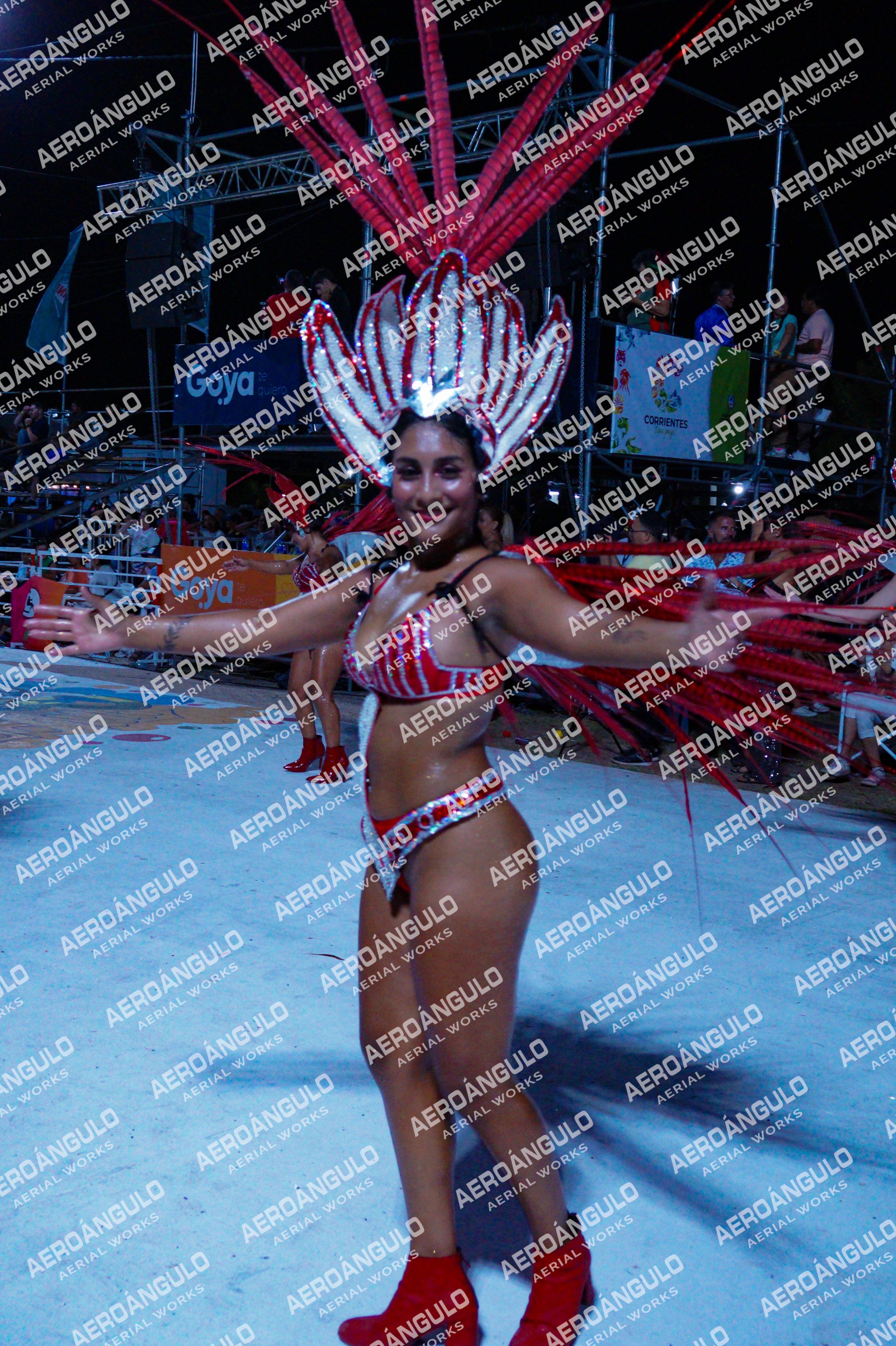 GoyaDia1 N°271