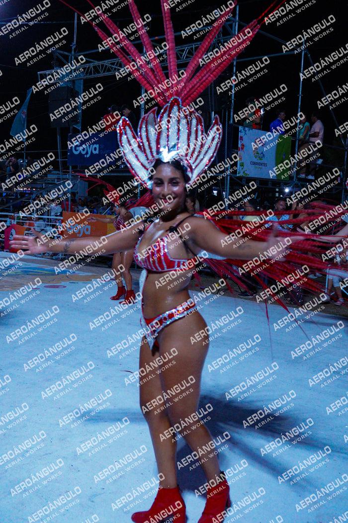 GoyaDia1 N°271