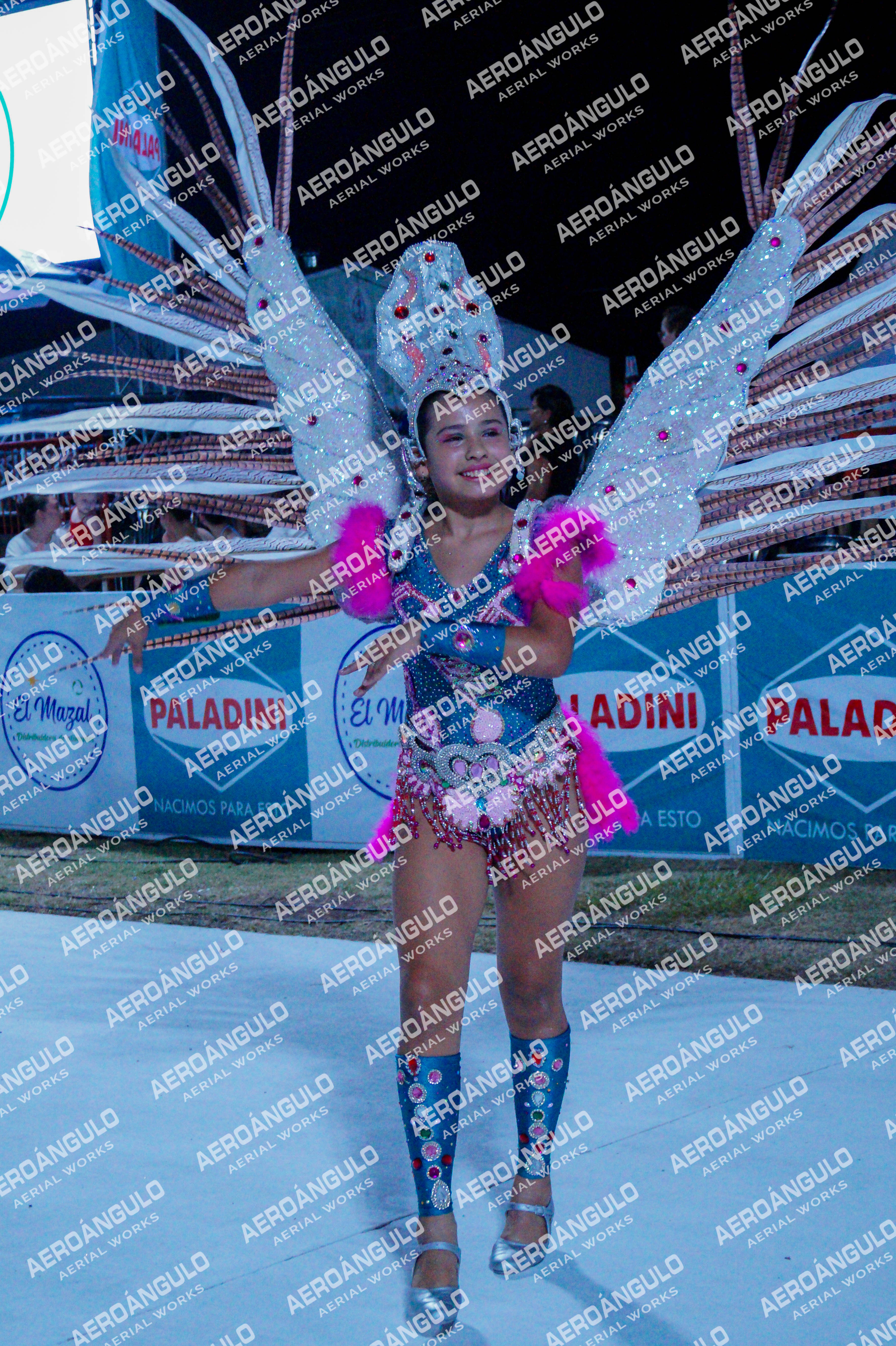 GoyaDia1 N°29