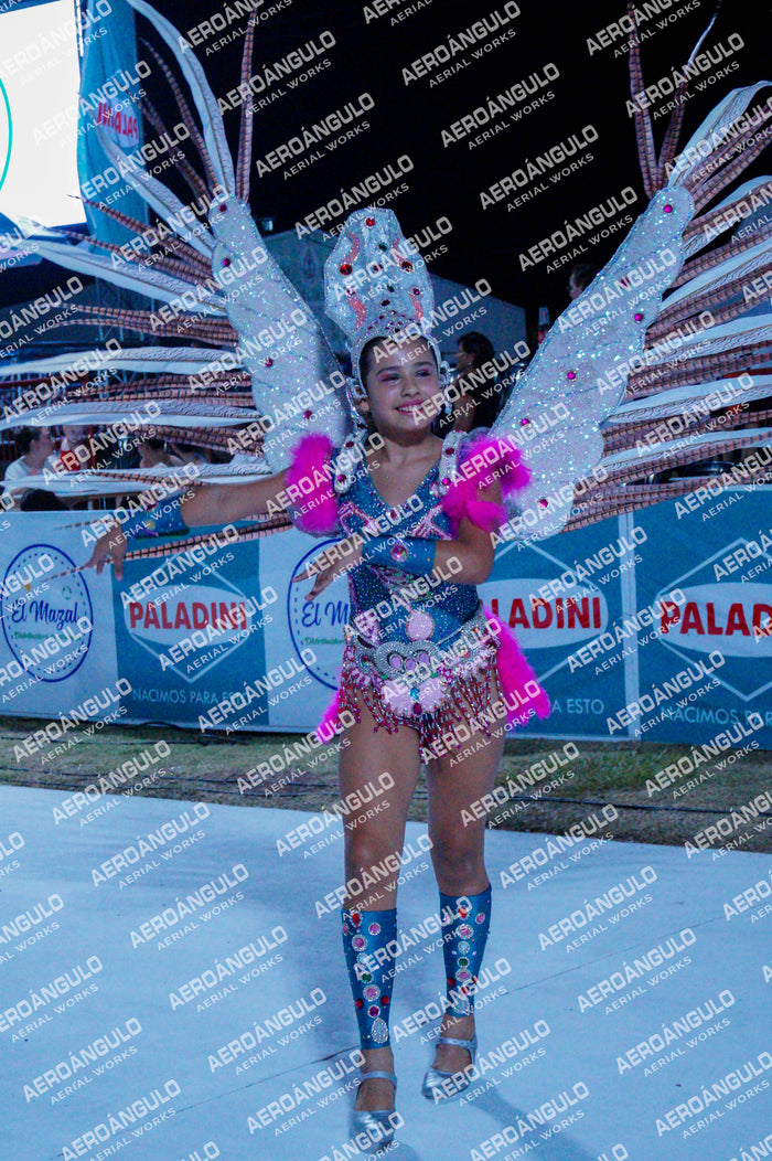 GoyaDia1 N°29