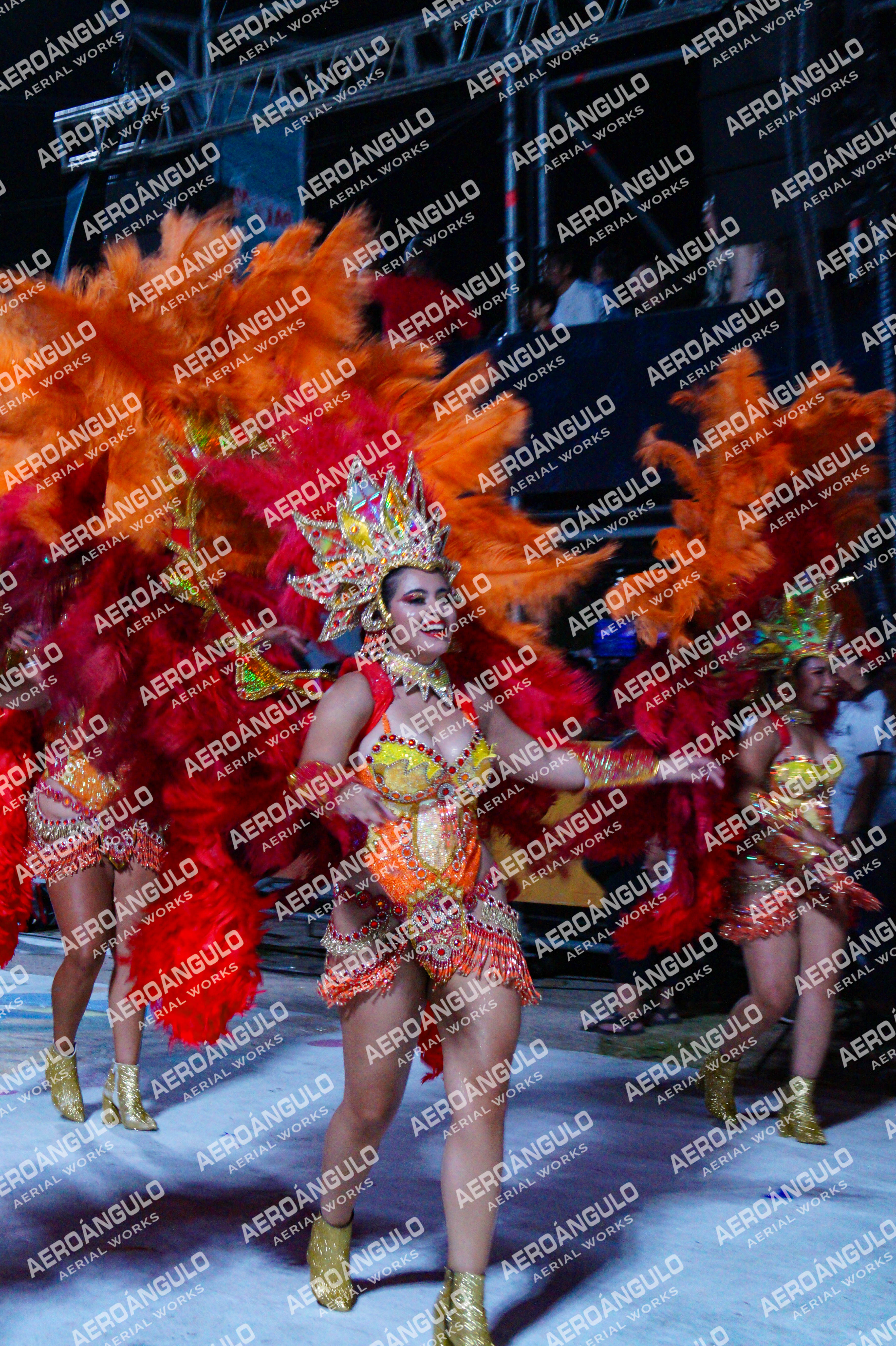 GoyaDia1 N°295