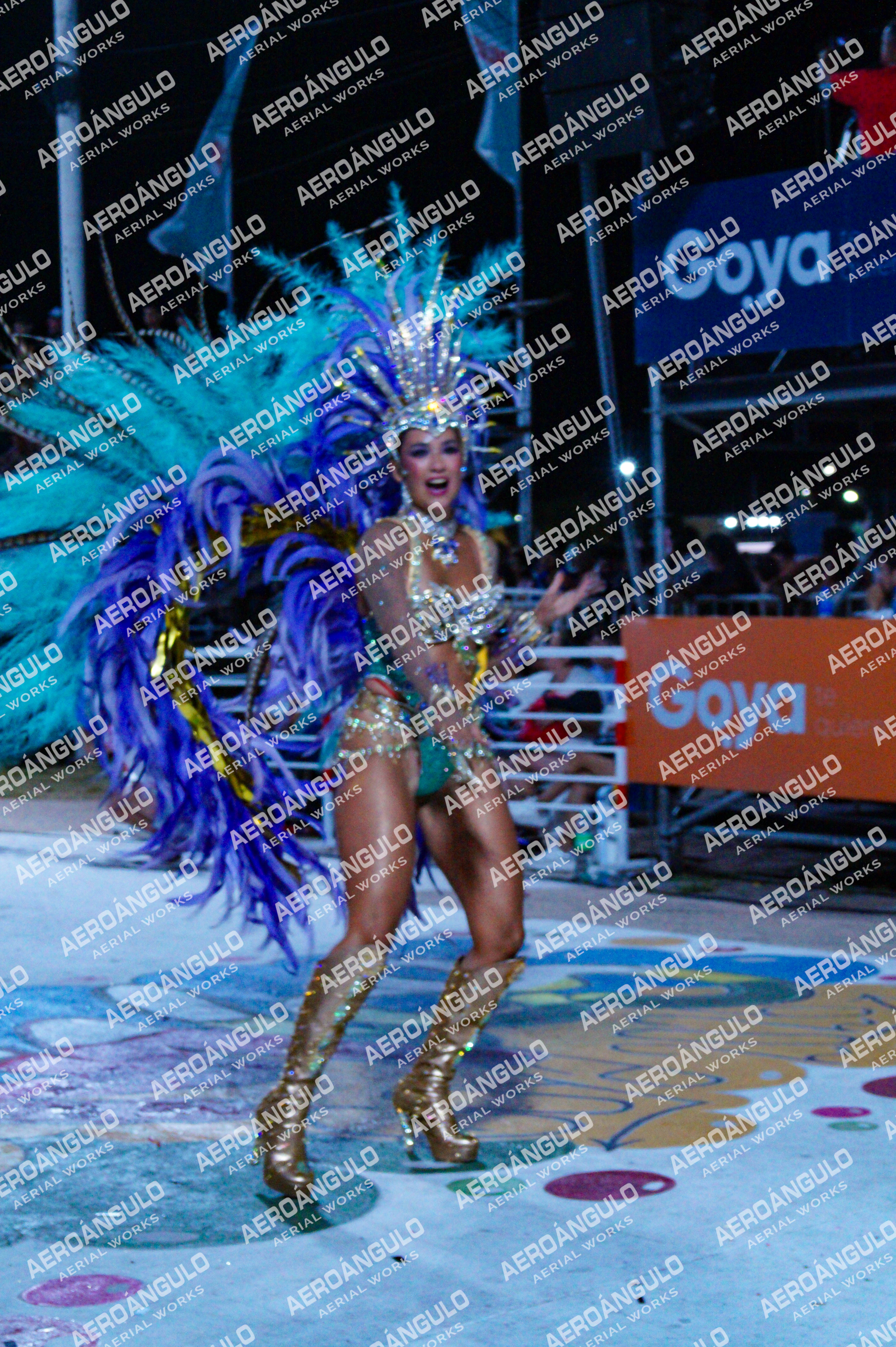 GoyaDia1 N°315