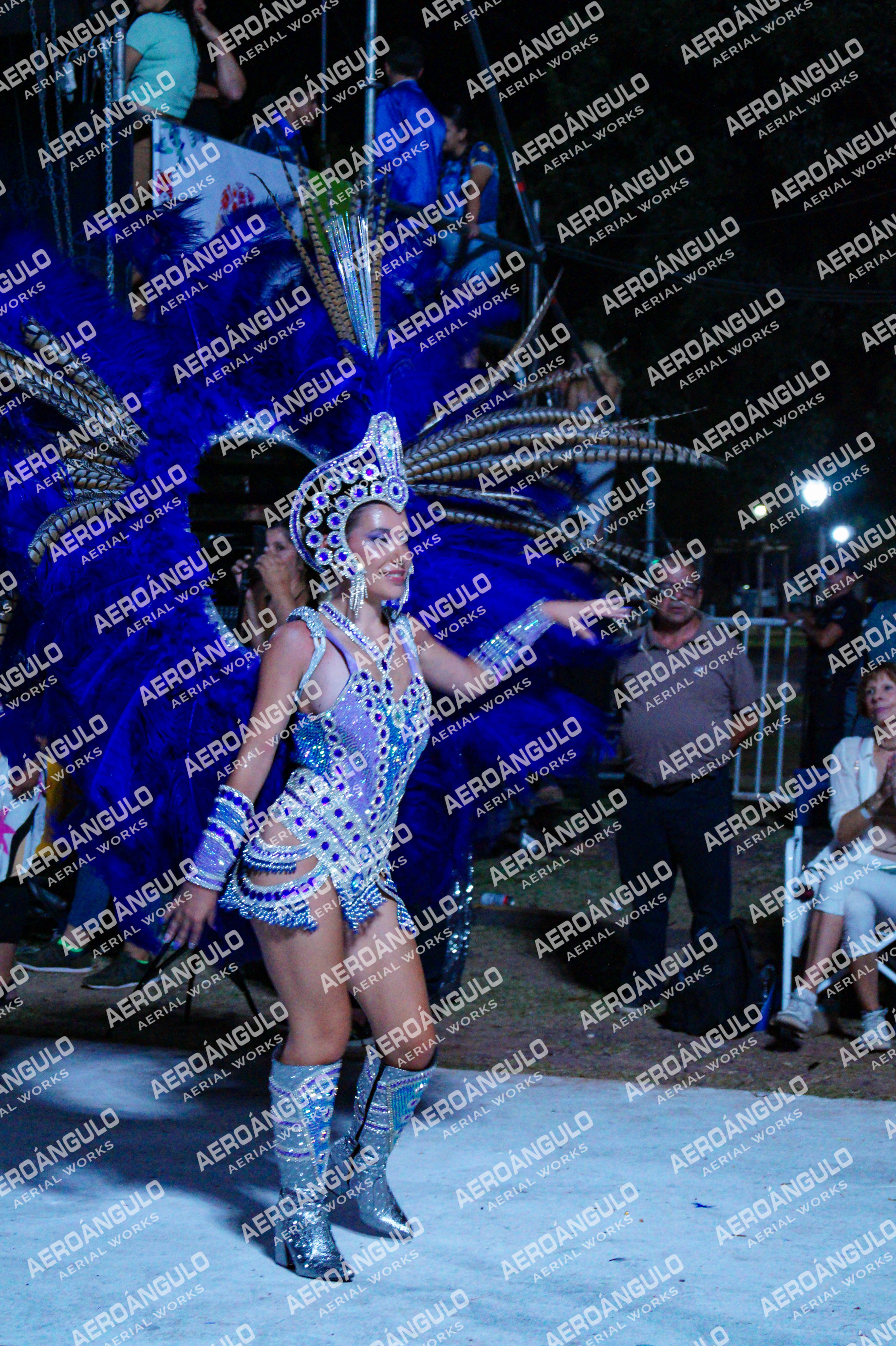 GoyaDia1 N°322