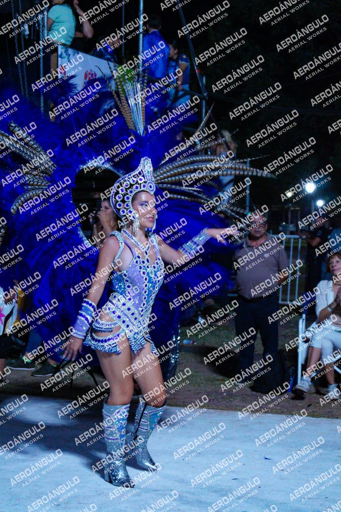GoyaDia1 N°322