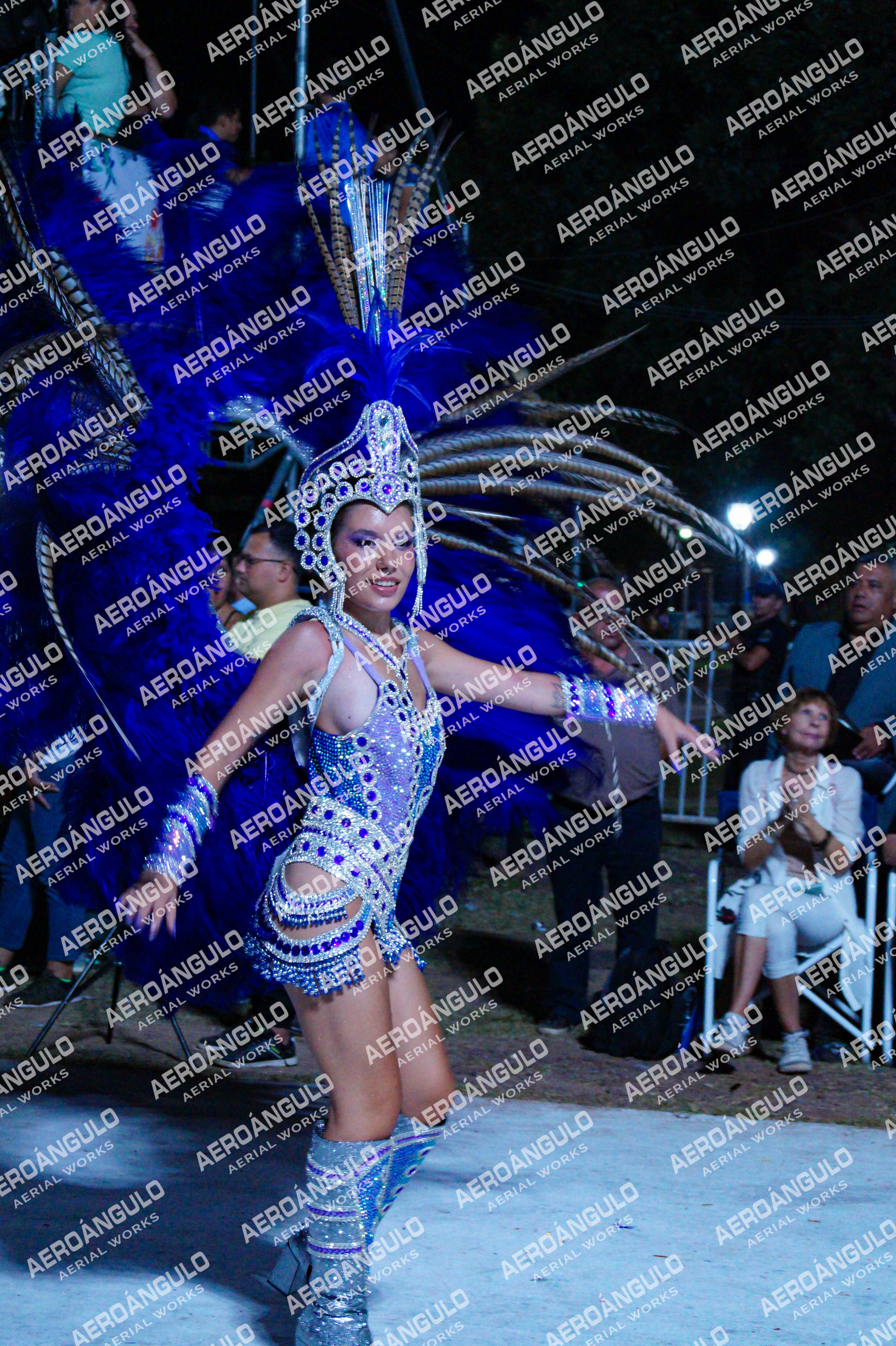 GoyaDia1 N°323