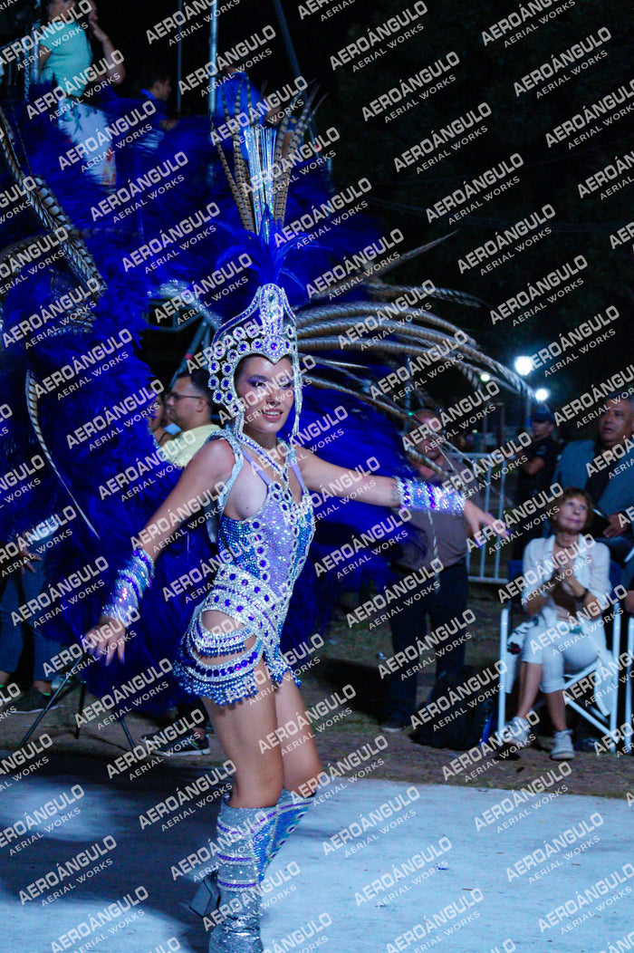 GoyaDia1 N°323