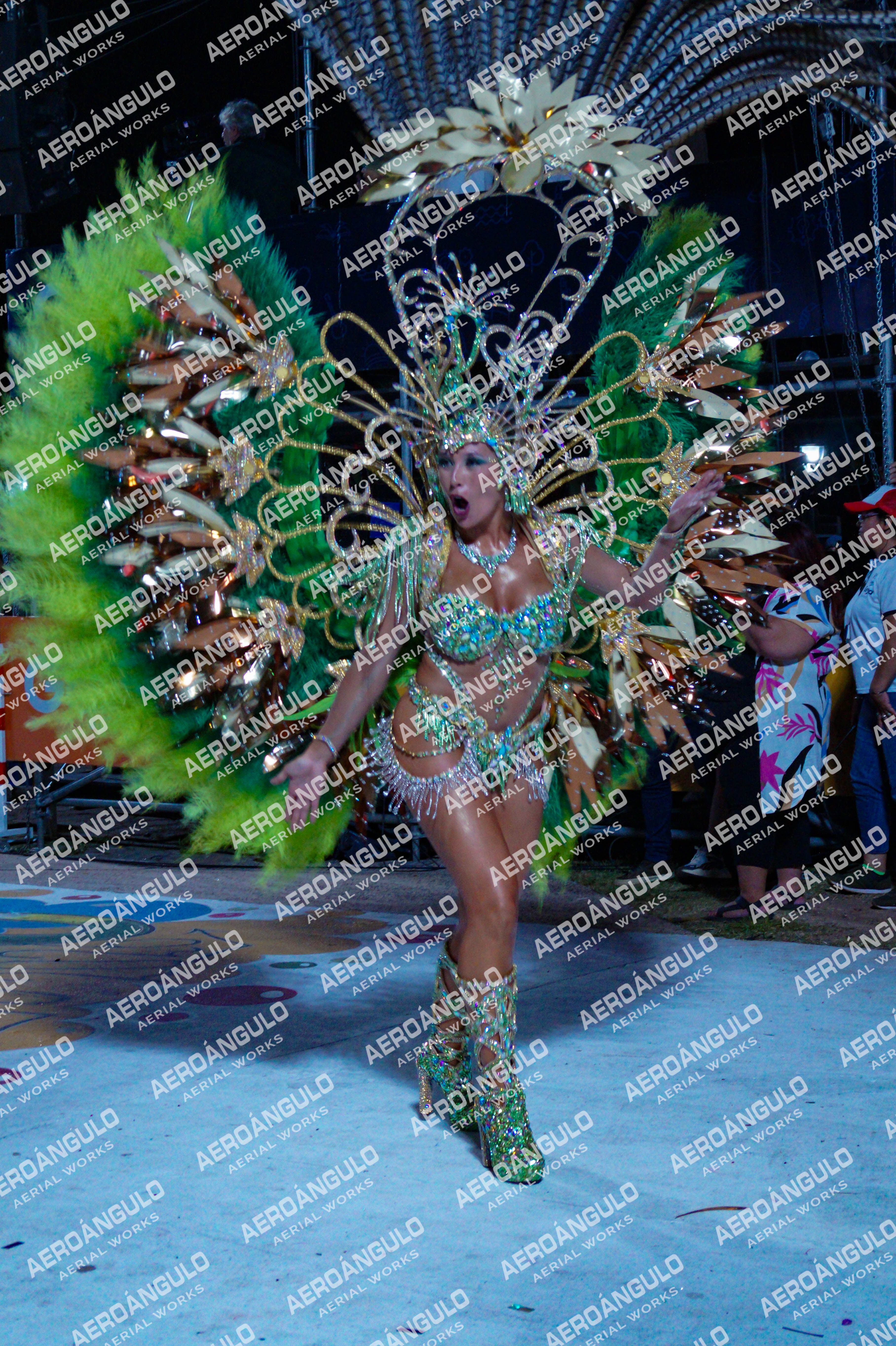 GoyaDia1 N°328