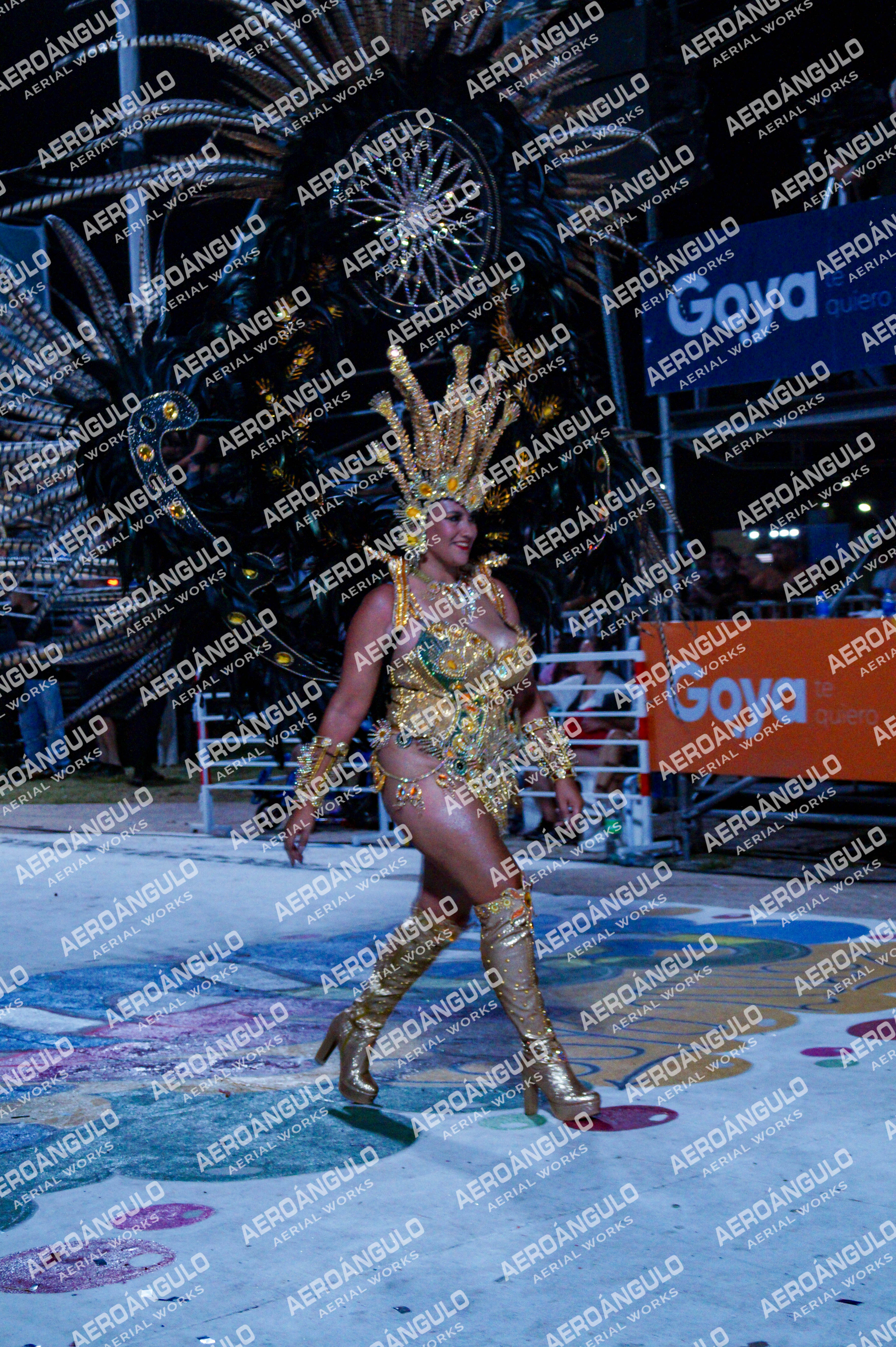 GoyaDia1 N°337
