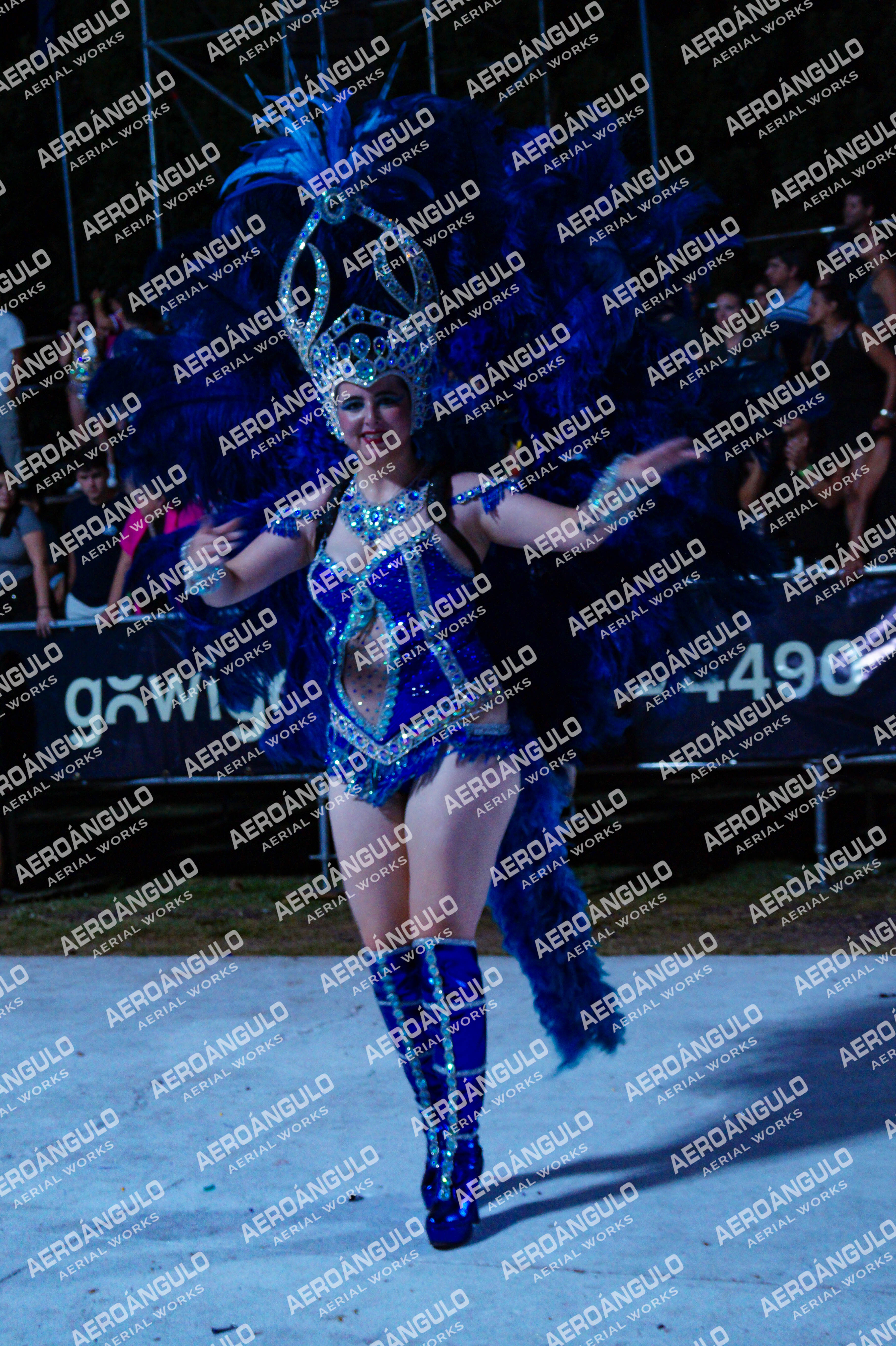 GoyaDia1 N°348