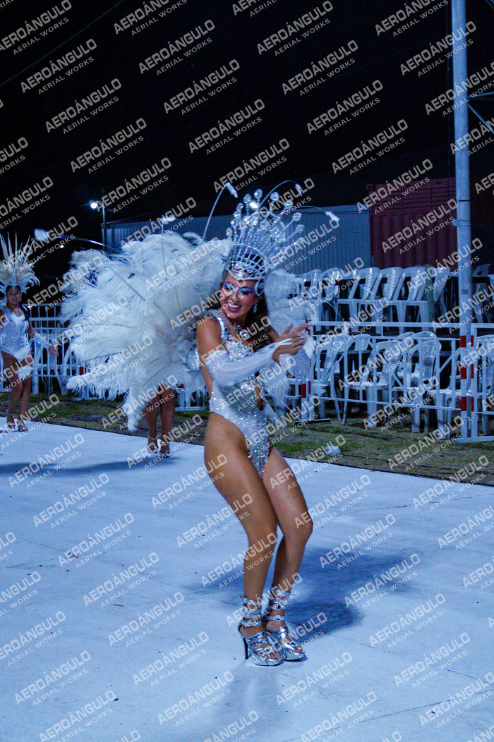 GoyaDia1 N°366