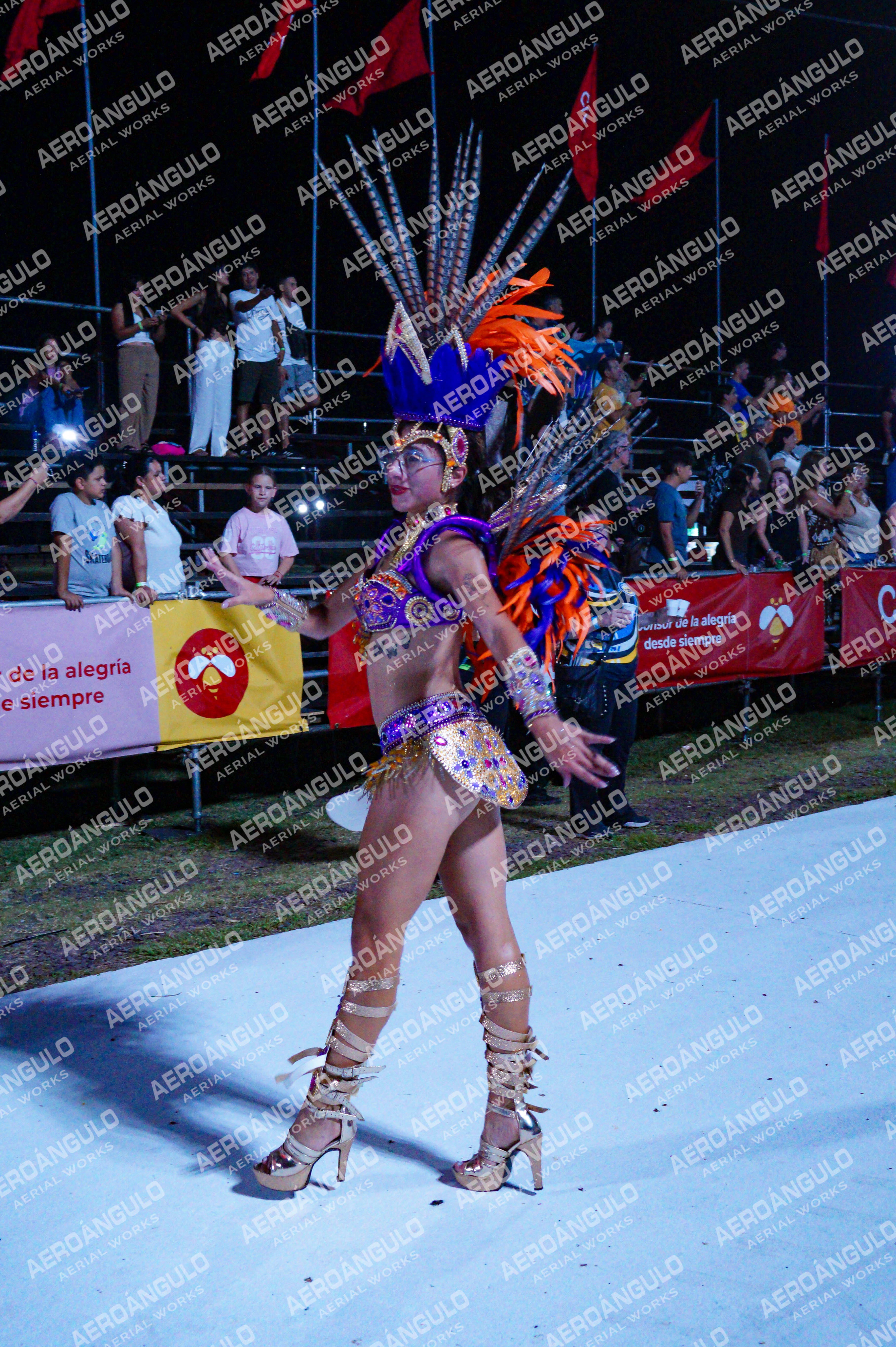 GoyaDia1 N°385