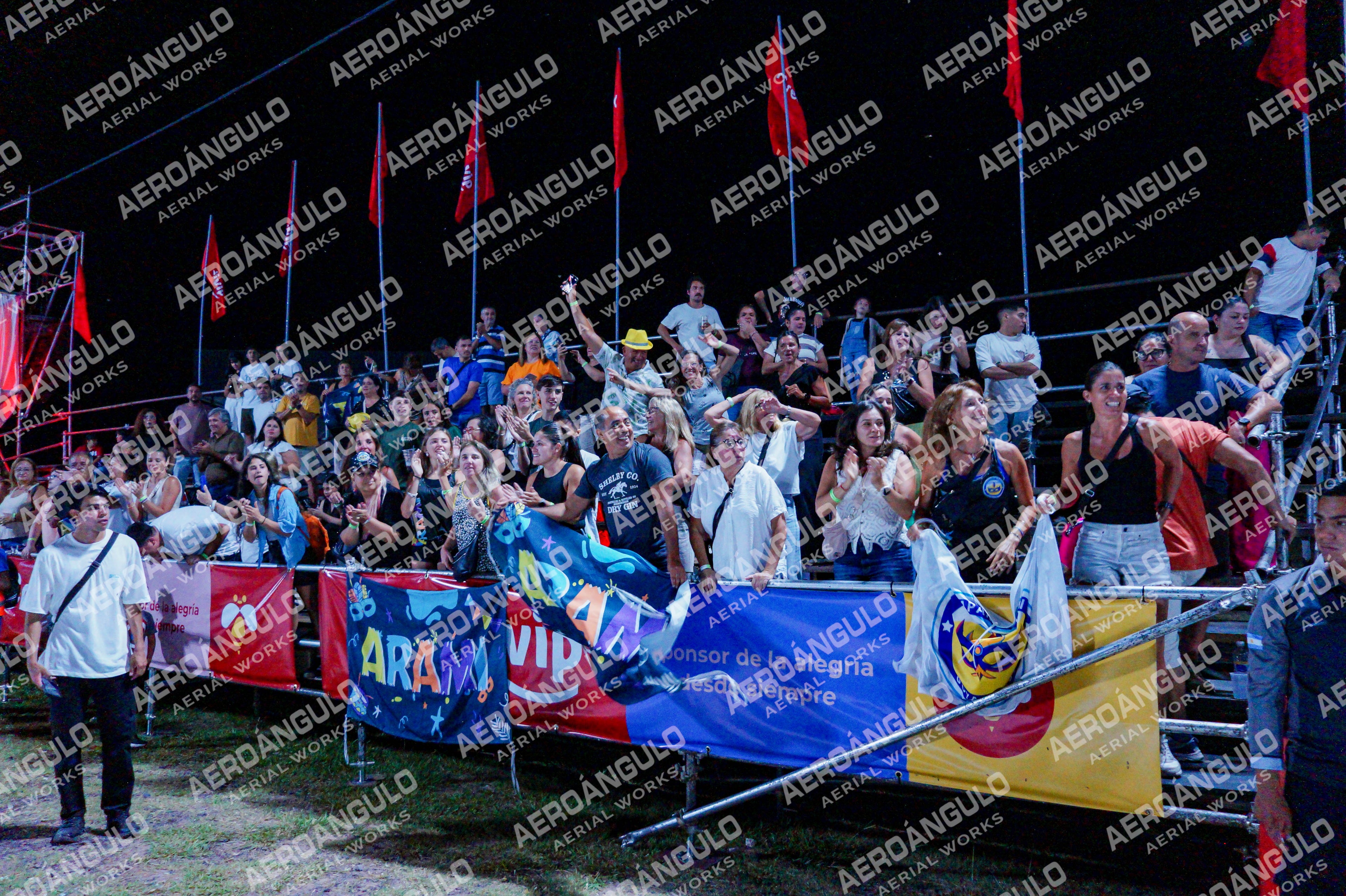 GoyaDia1 N°388