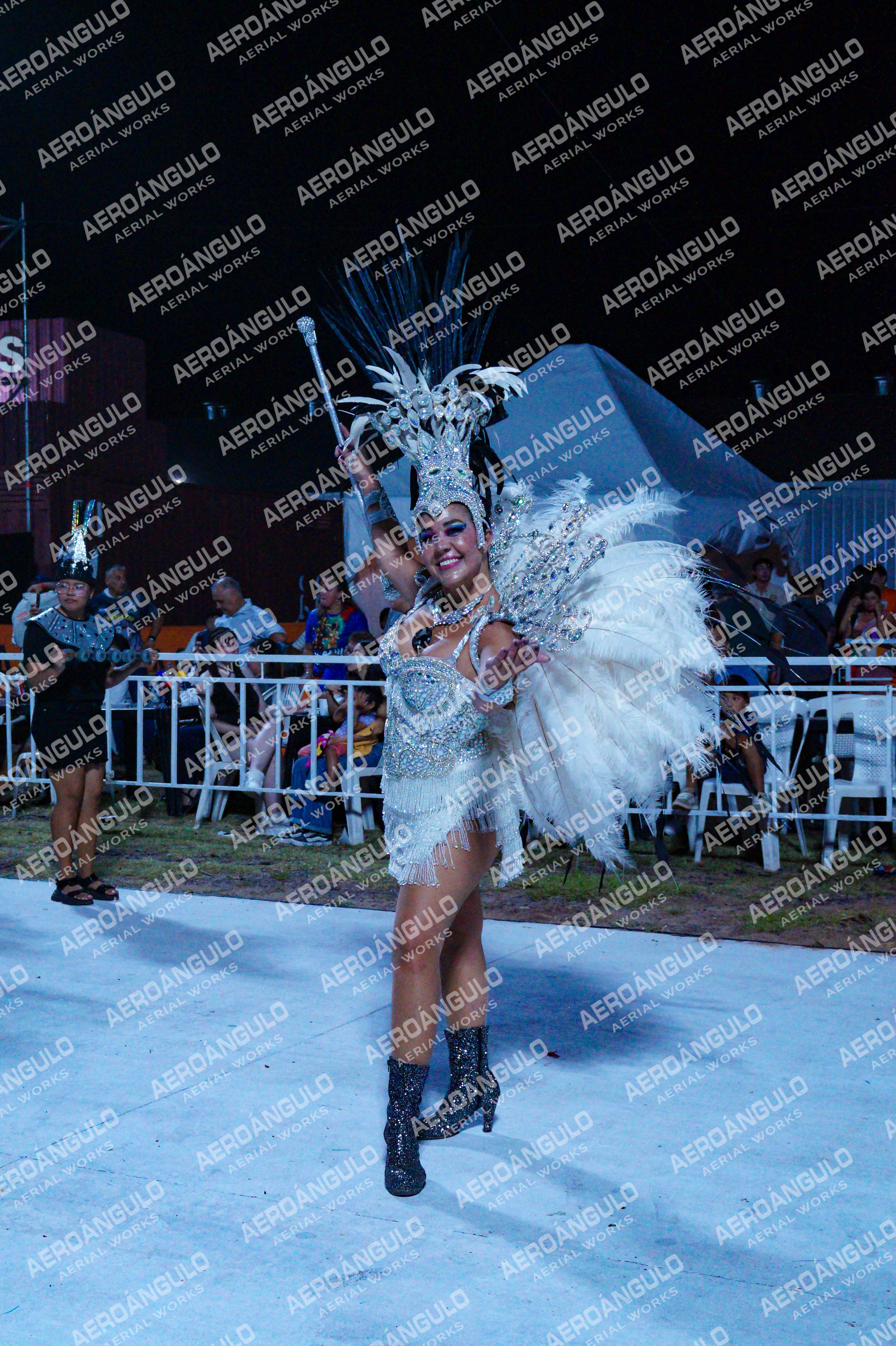 GoyaDia1 N°406