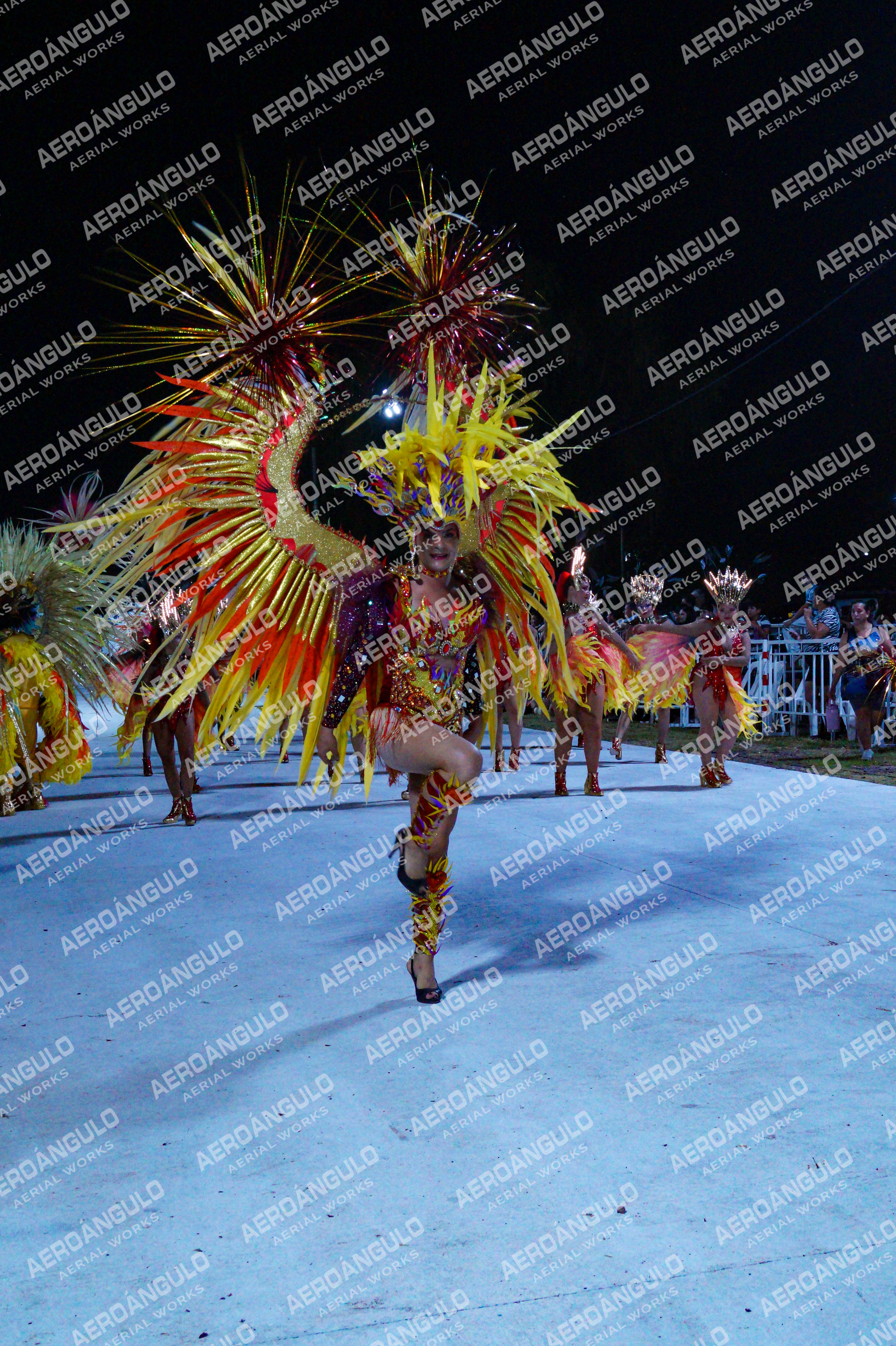 GoyaDia1 N°422