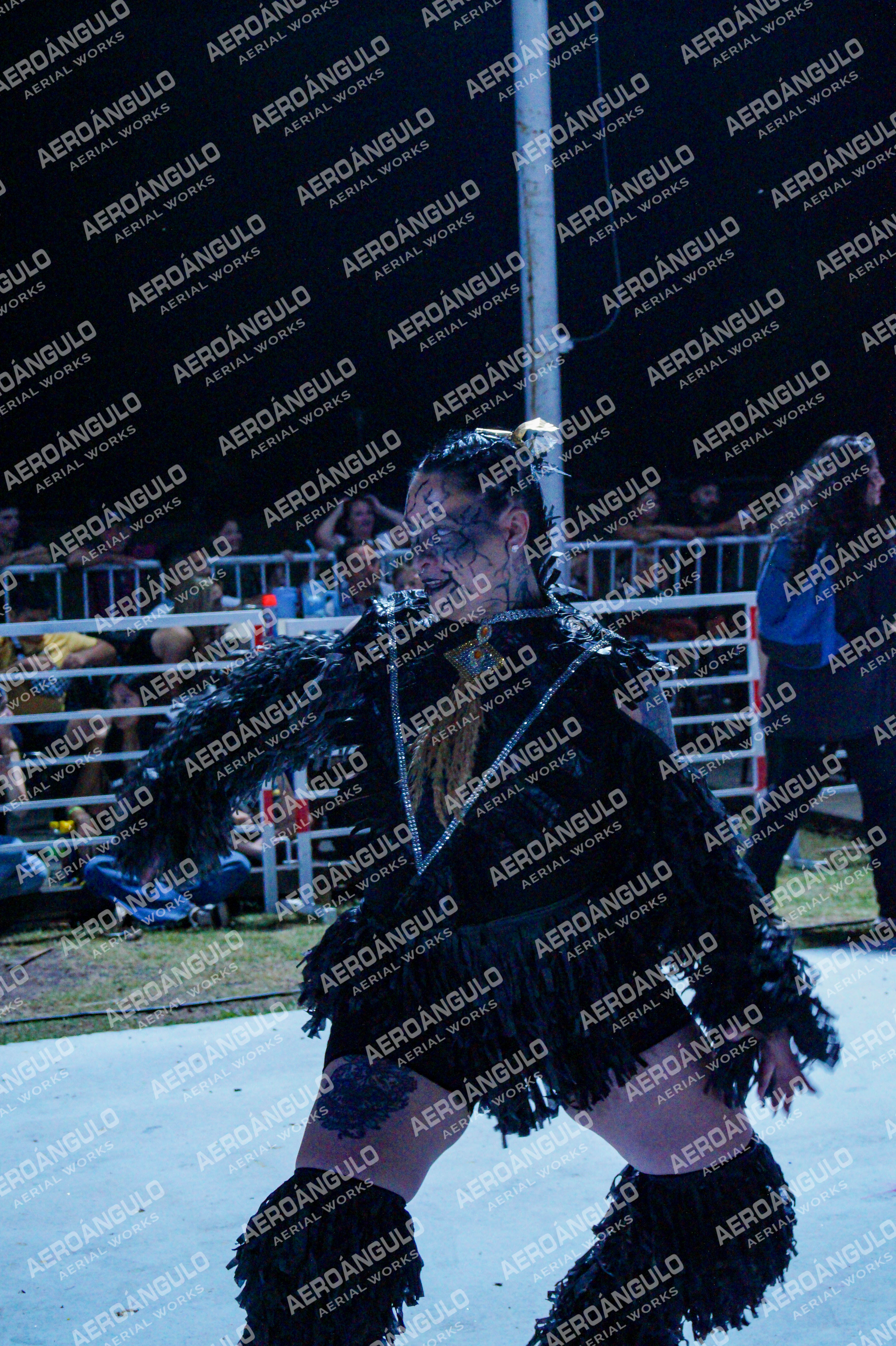 GoyaDia1 N°433