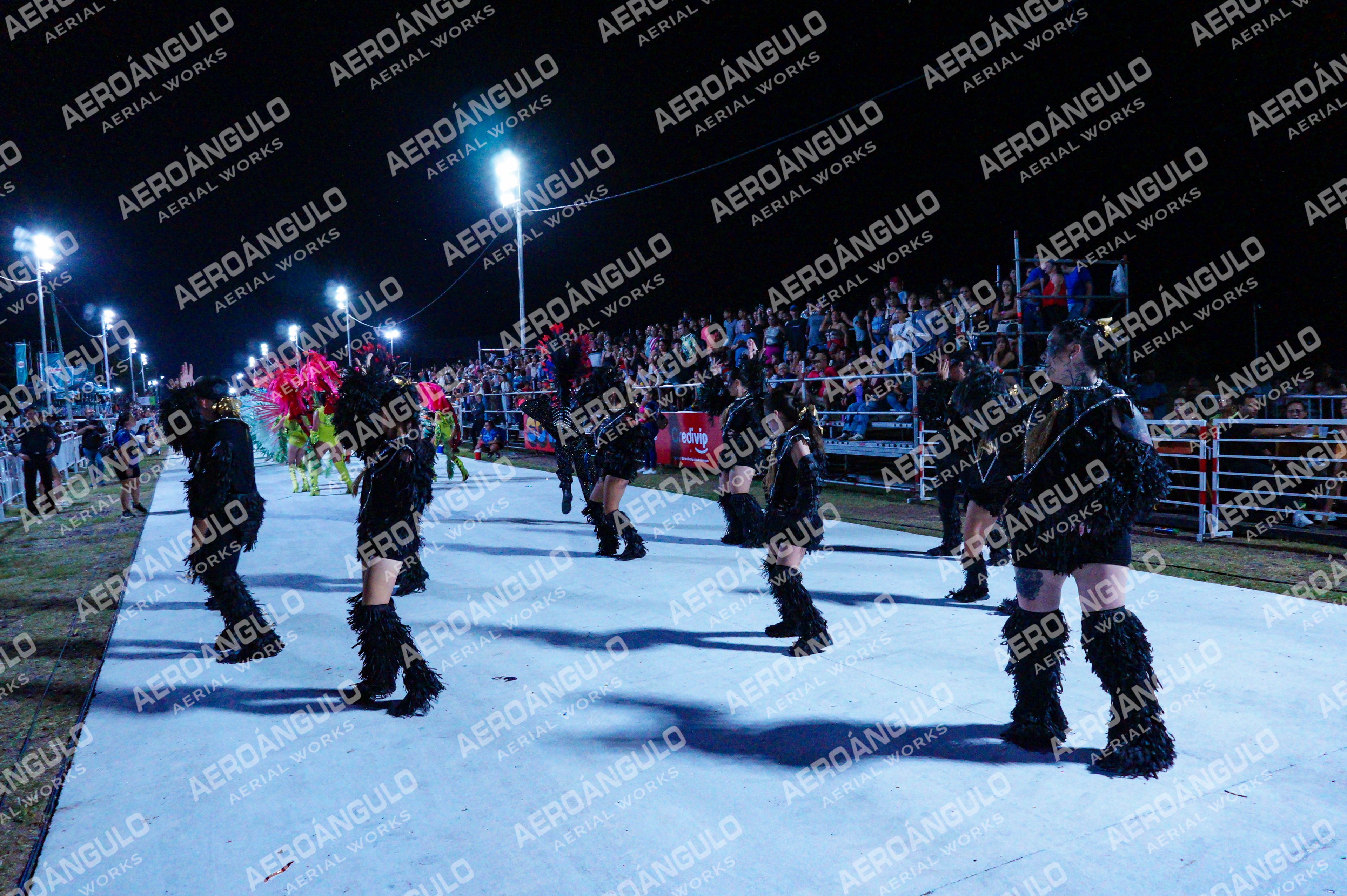 GoyaDia1 N°435