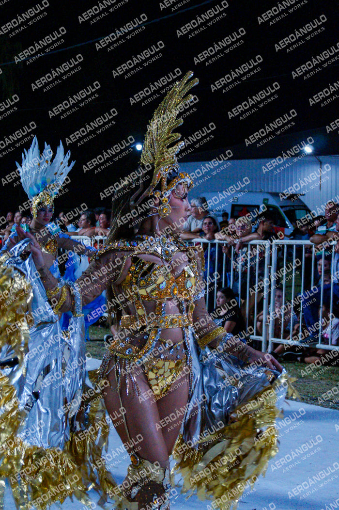 GoyaDia1 N°437