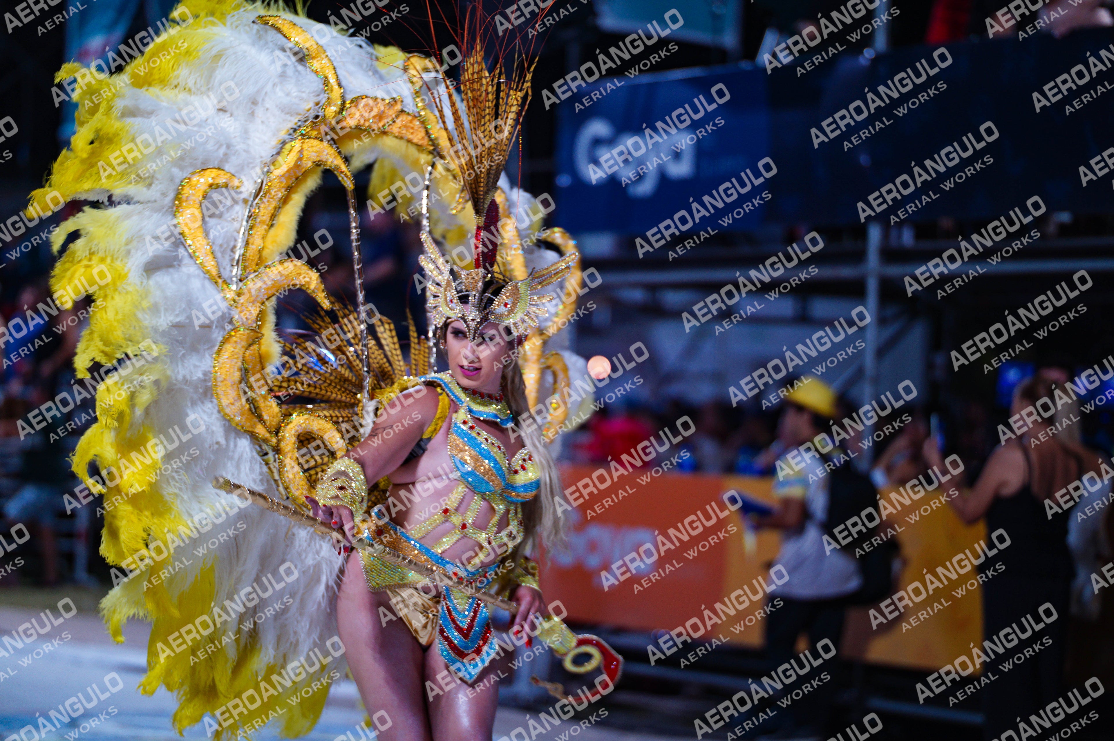 GoyaDia1 N°455
