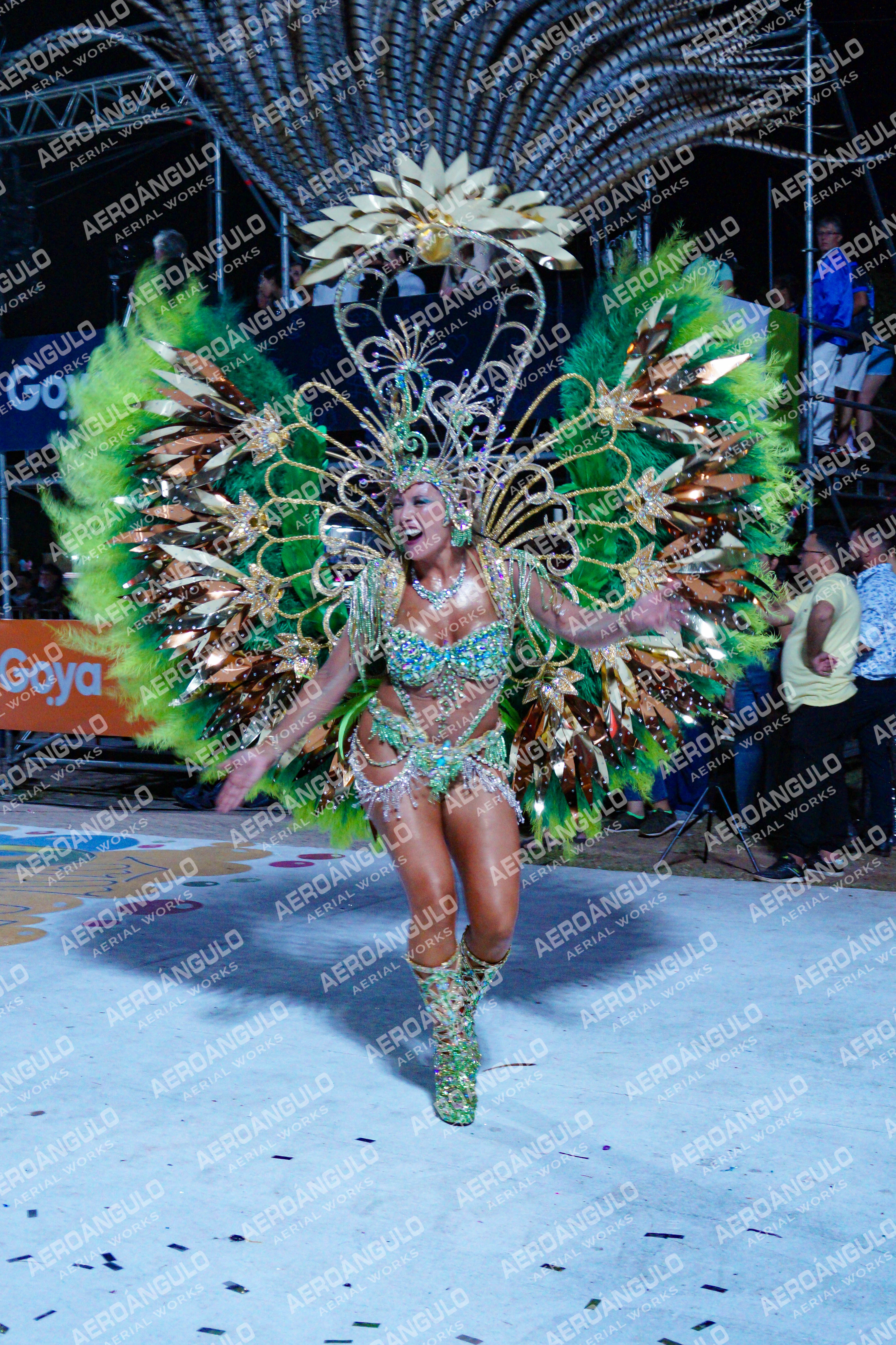 GoyaDia1 N°483
