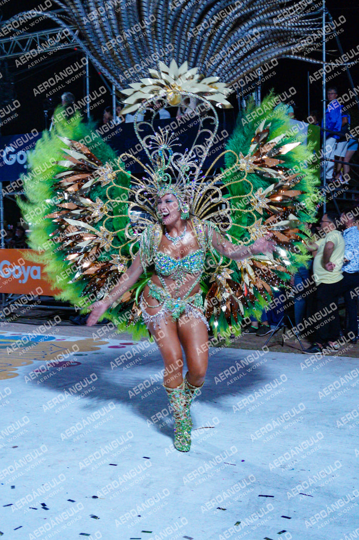GoyaDia1 N°483