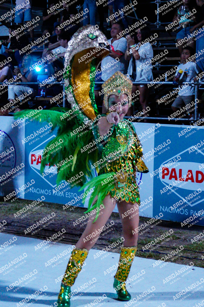 GoyaDia1 N°83