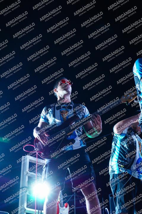 DIA2GOYA N°260