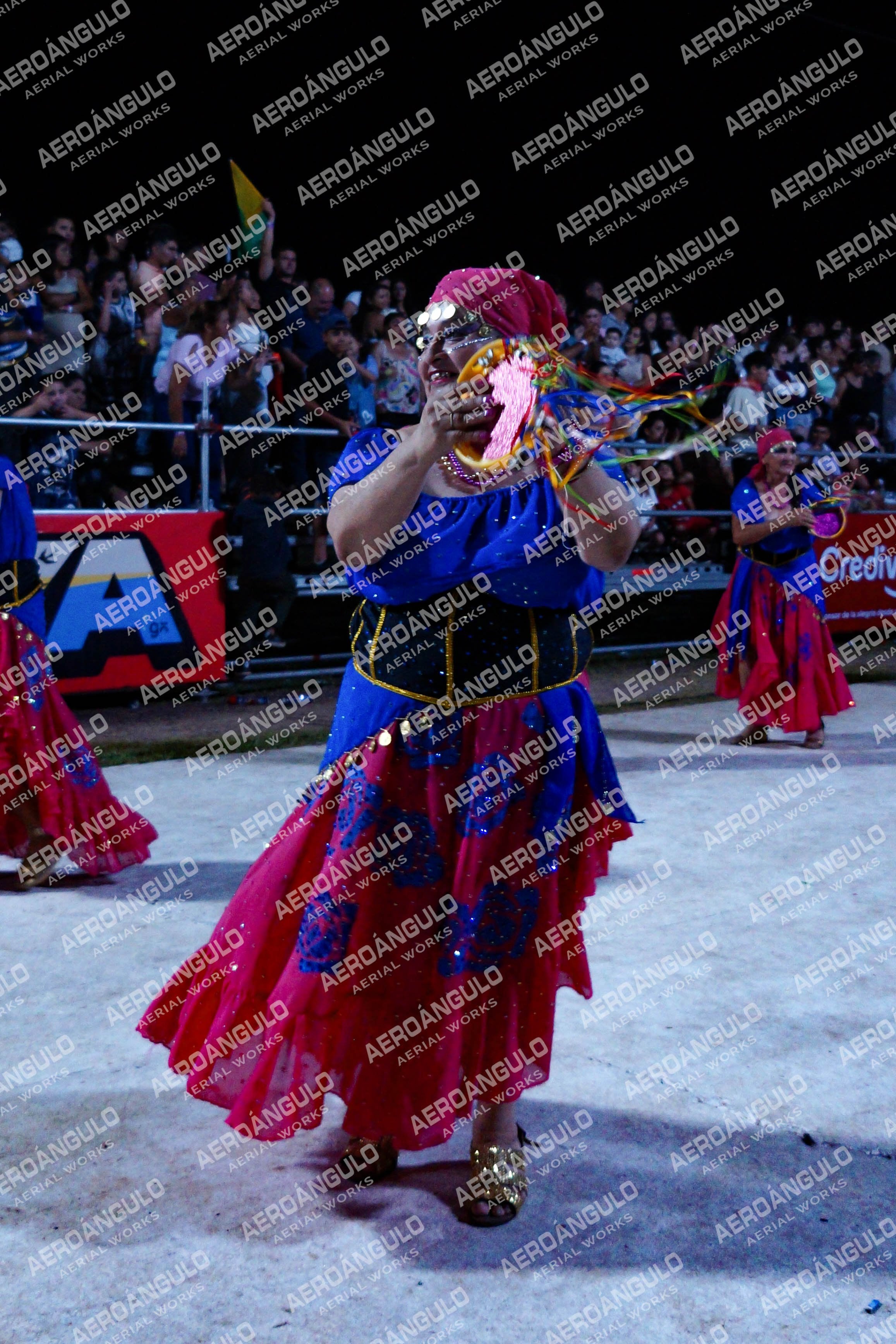 DIA2GOYA N°513