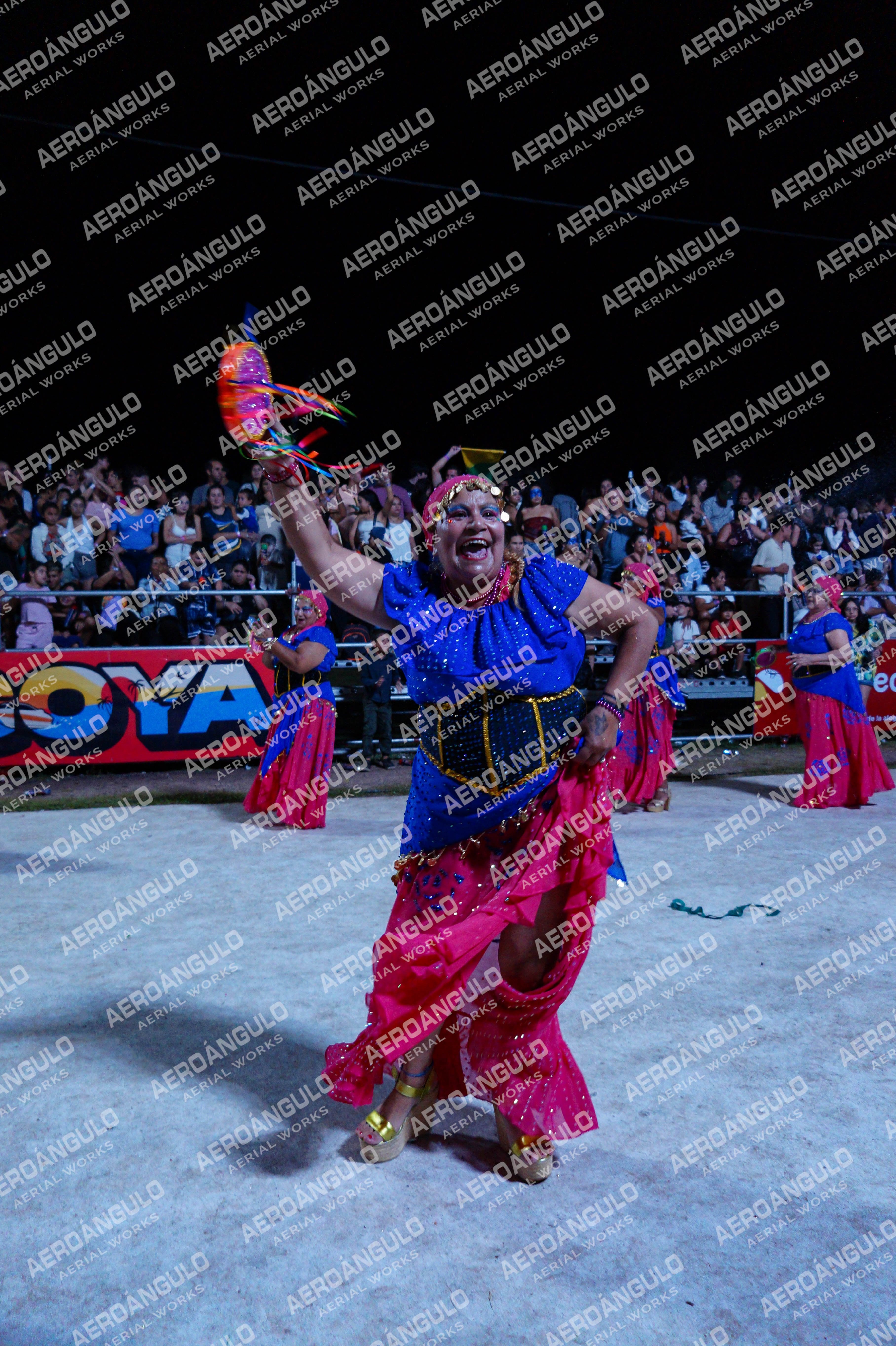 DIA2GOYA N°515