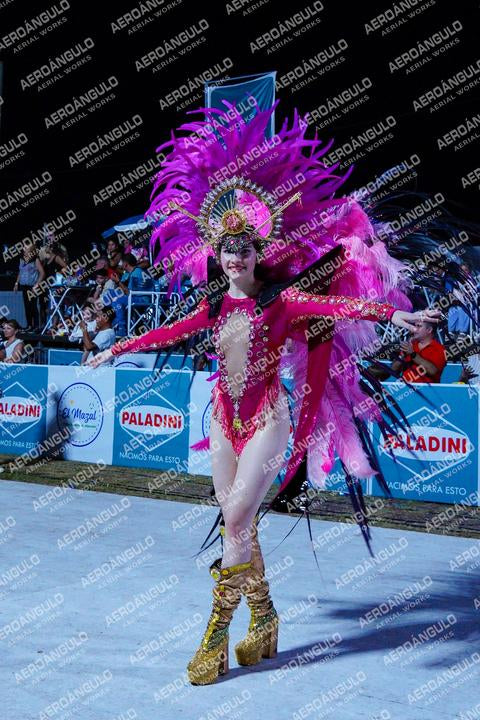 DIA2GOYA N°80