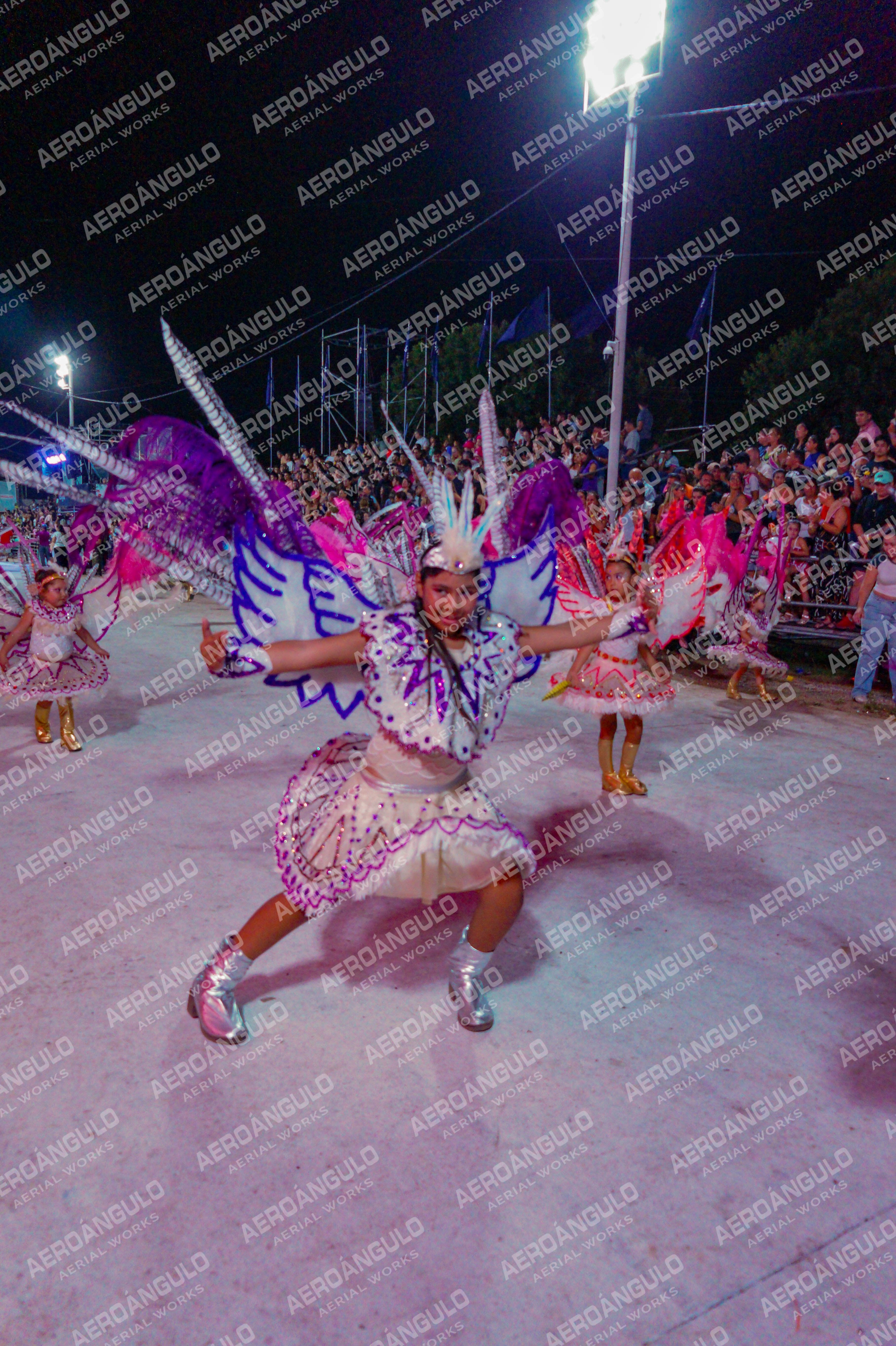 DIA3GOYA N°1261
