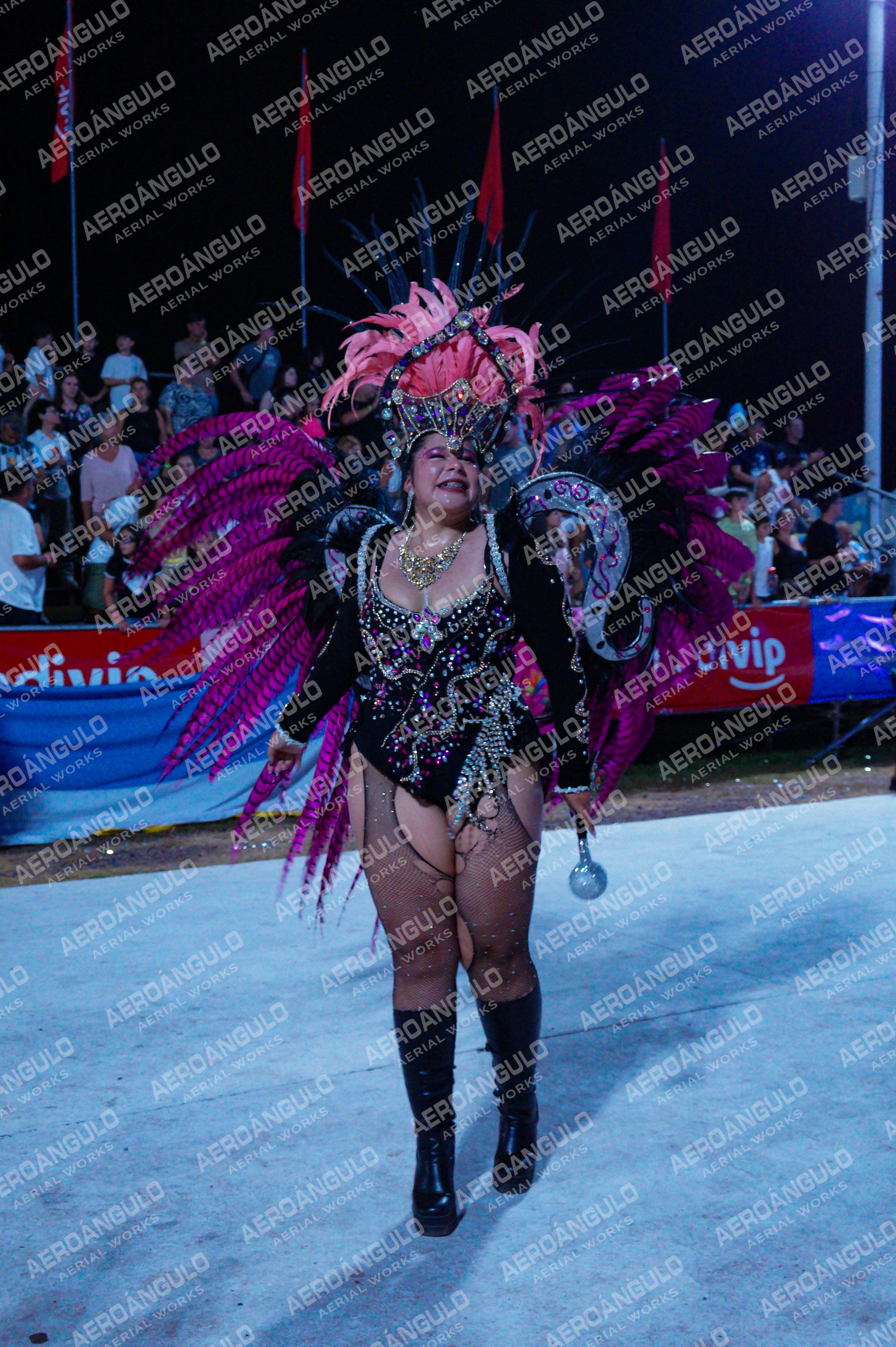 DIA3GOYA N°146