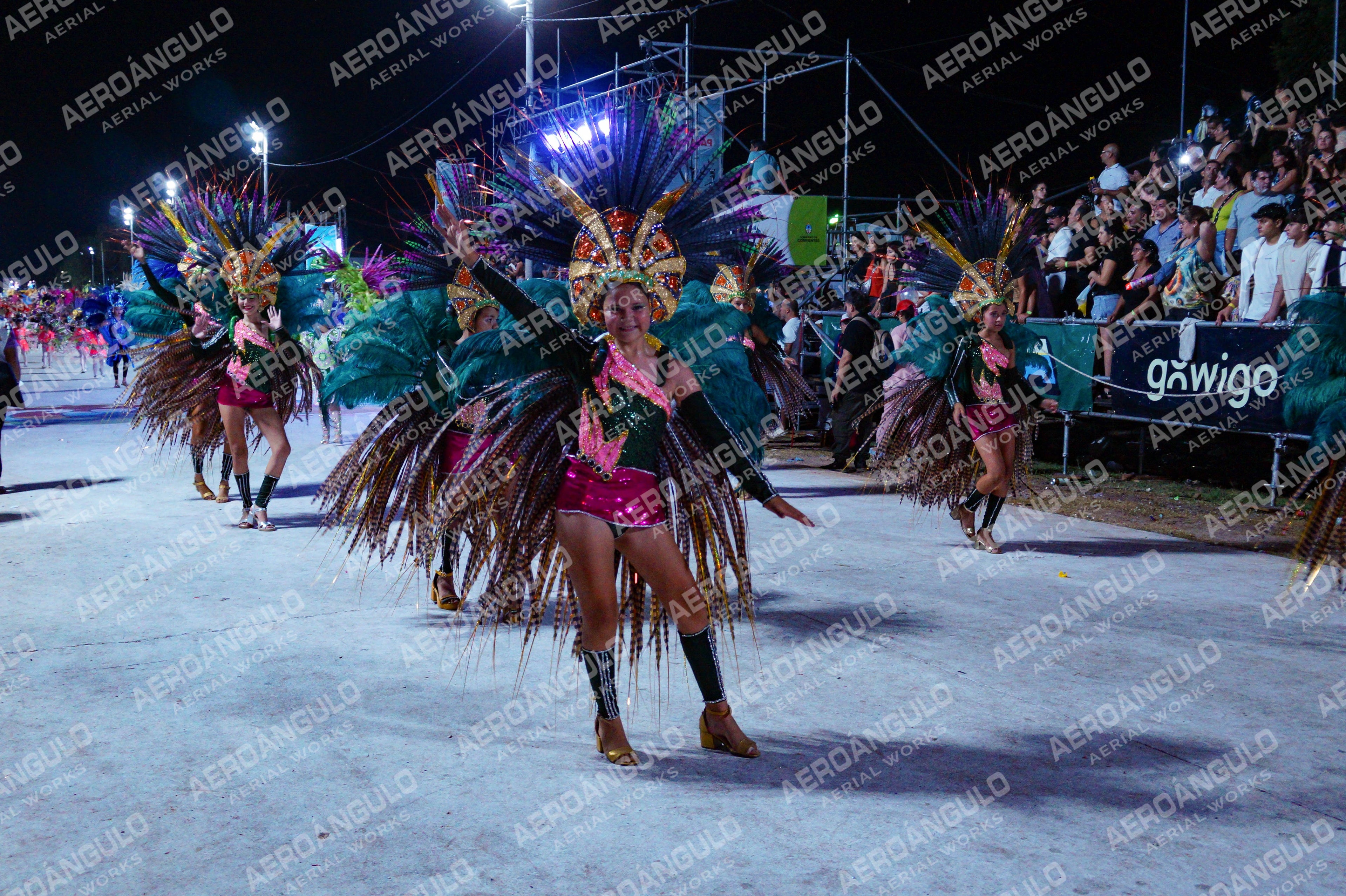 DIA3GOYA N°1950