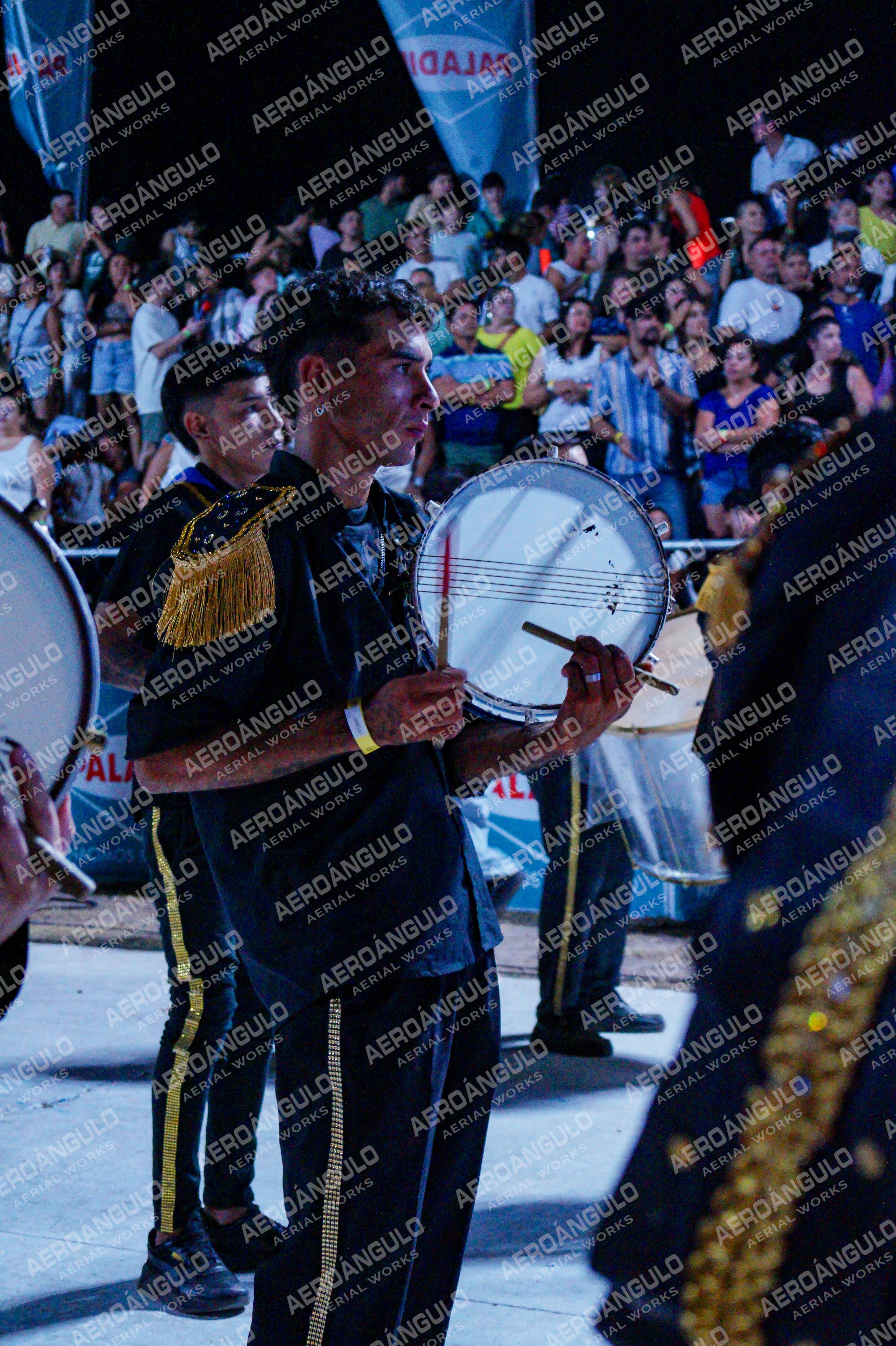 DIA3GOYA N°202