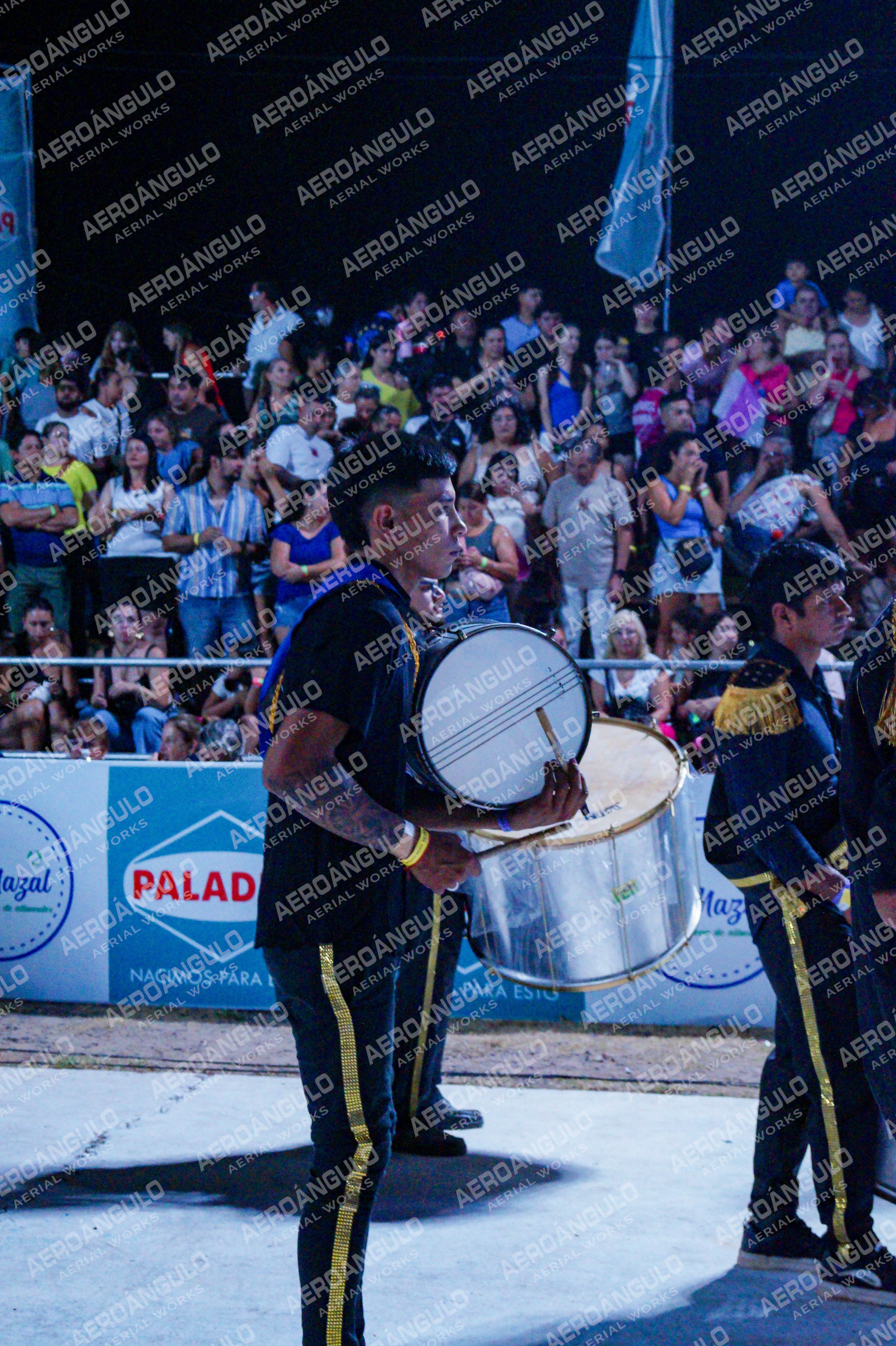 DIA3GOYA N°203