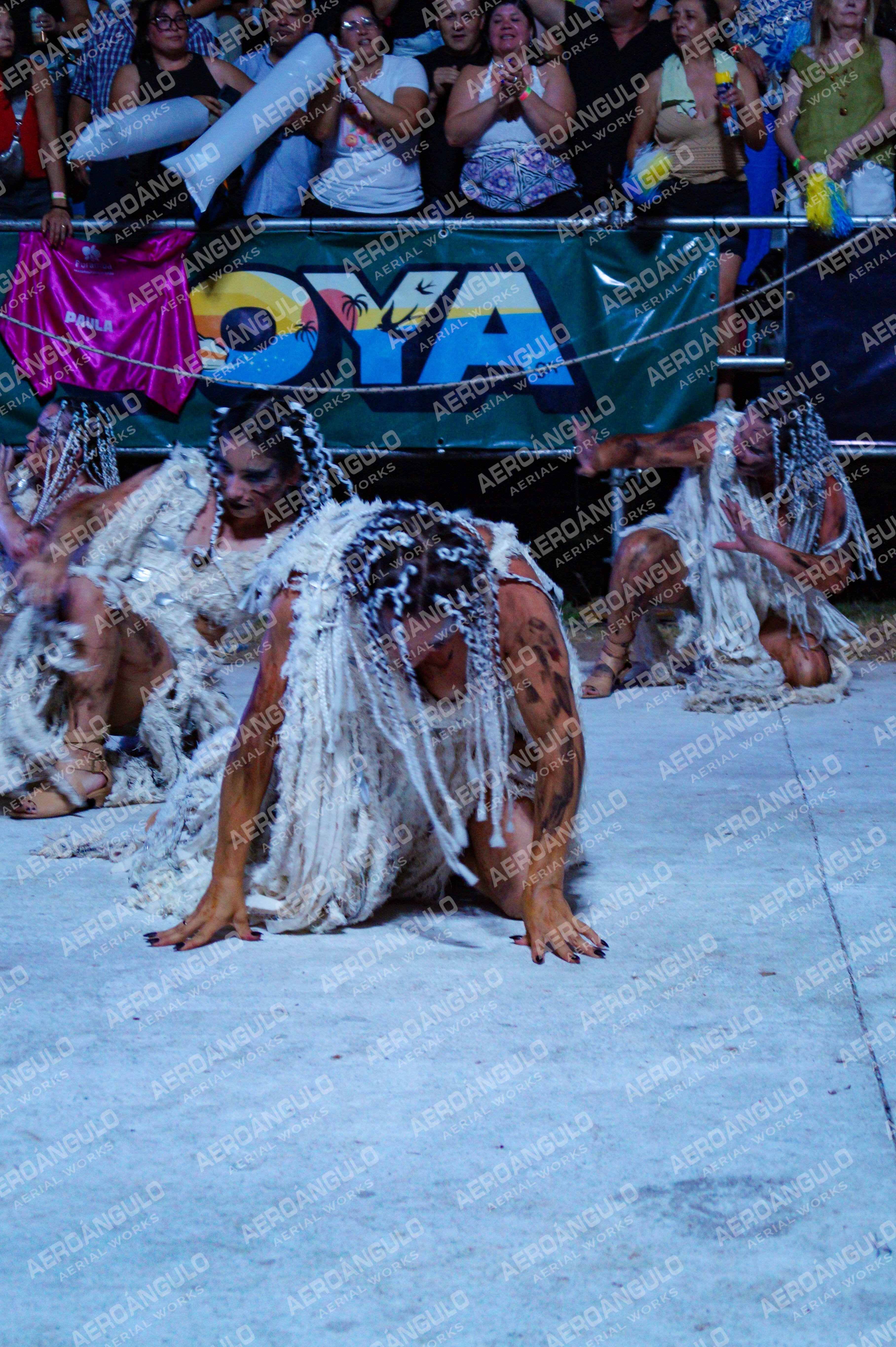 DIA3GOYA N°399