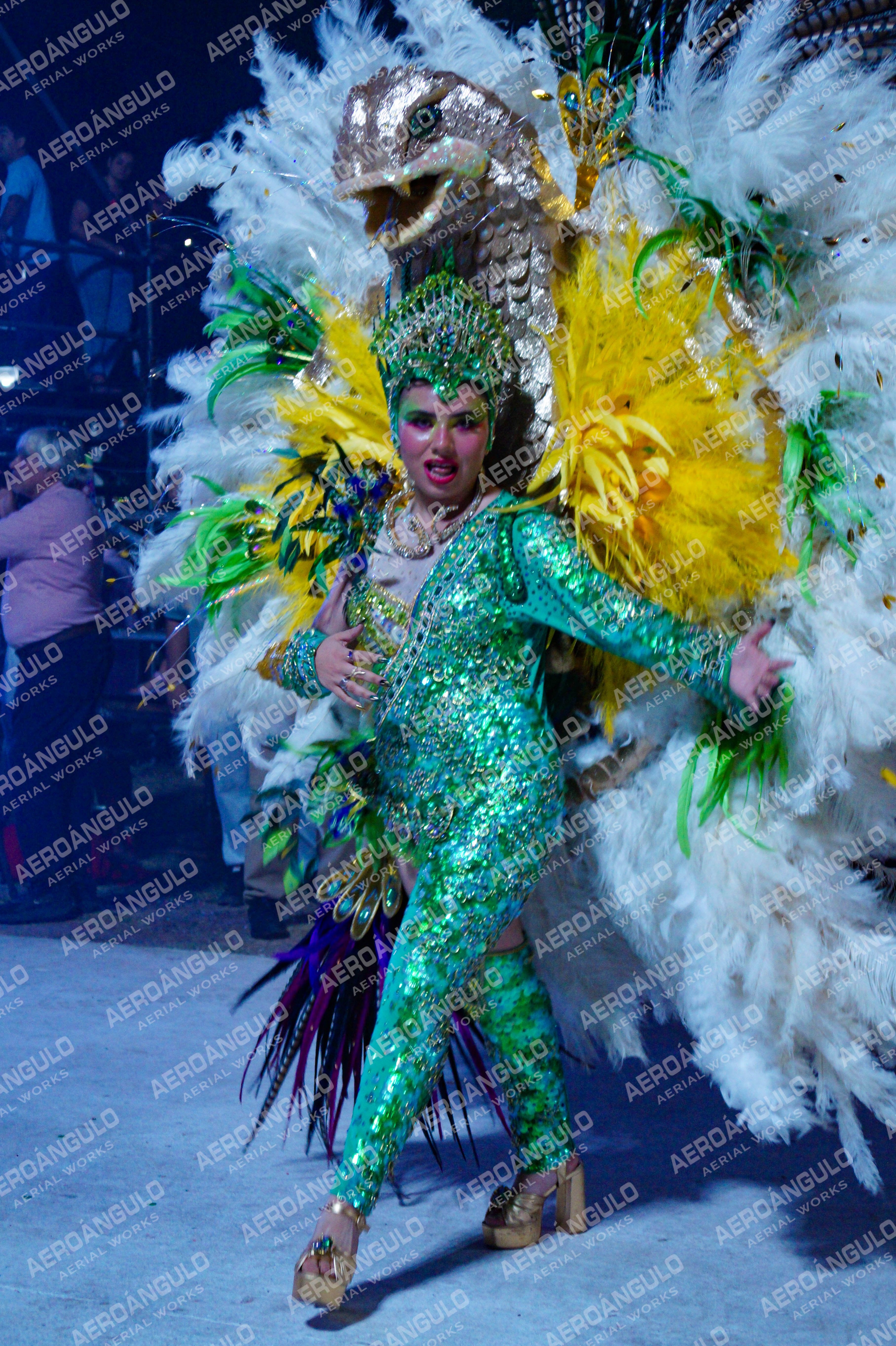 DIA3GOYA N°442