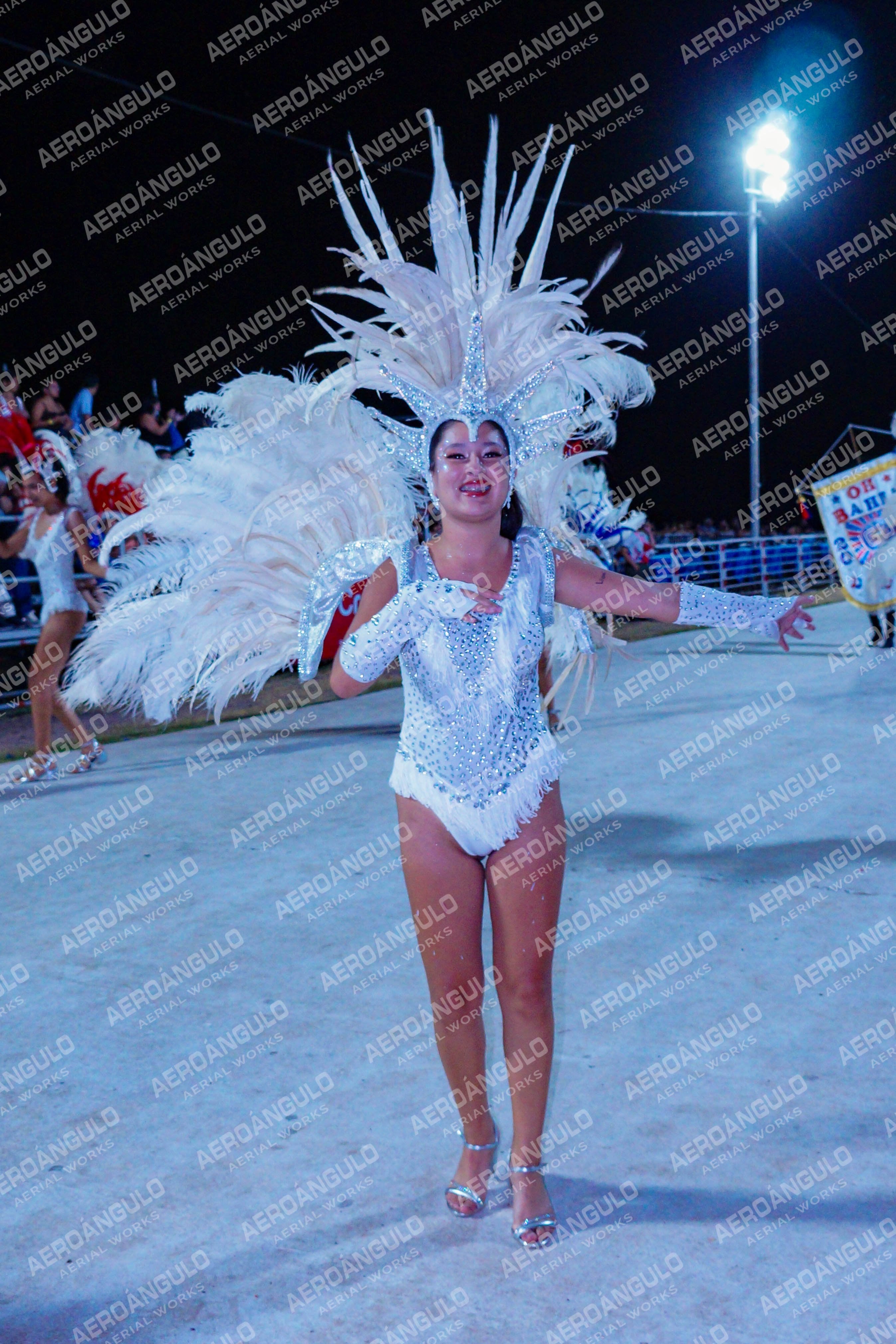 DIA3GOYA N°50