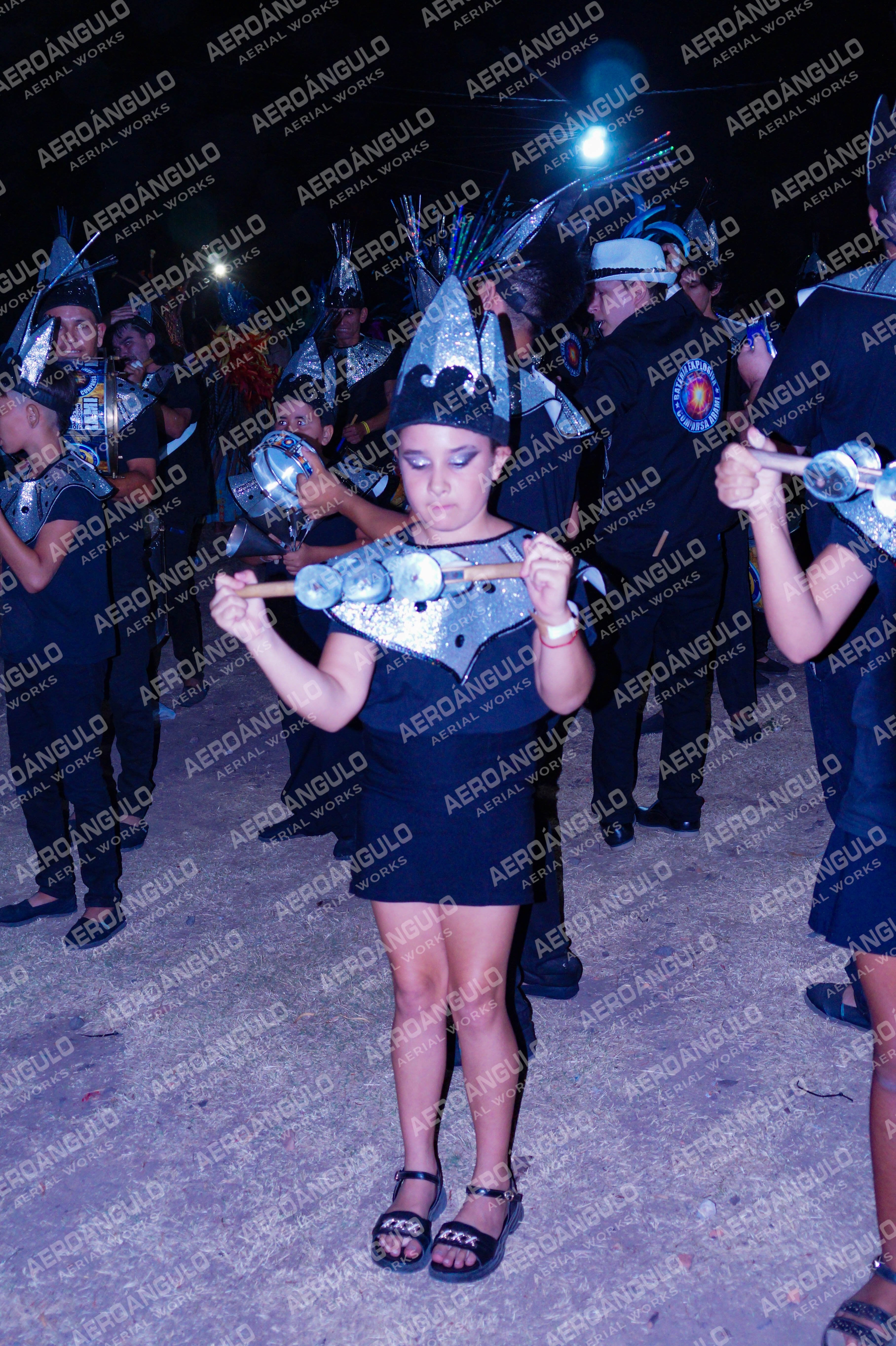 DIA3GOYA N°733