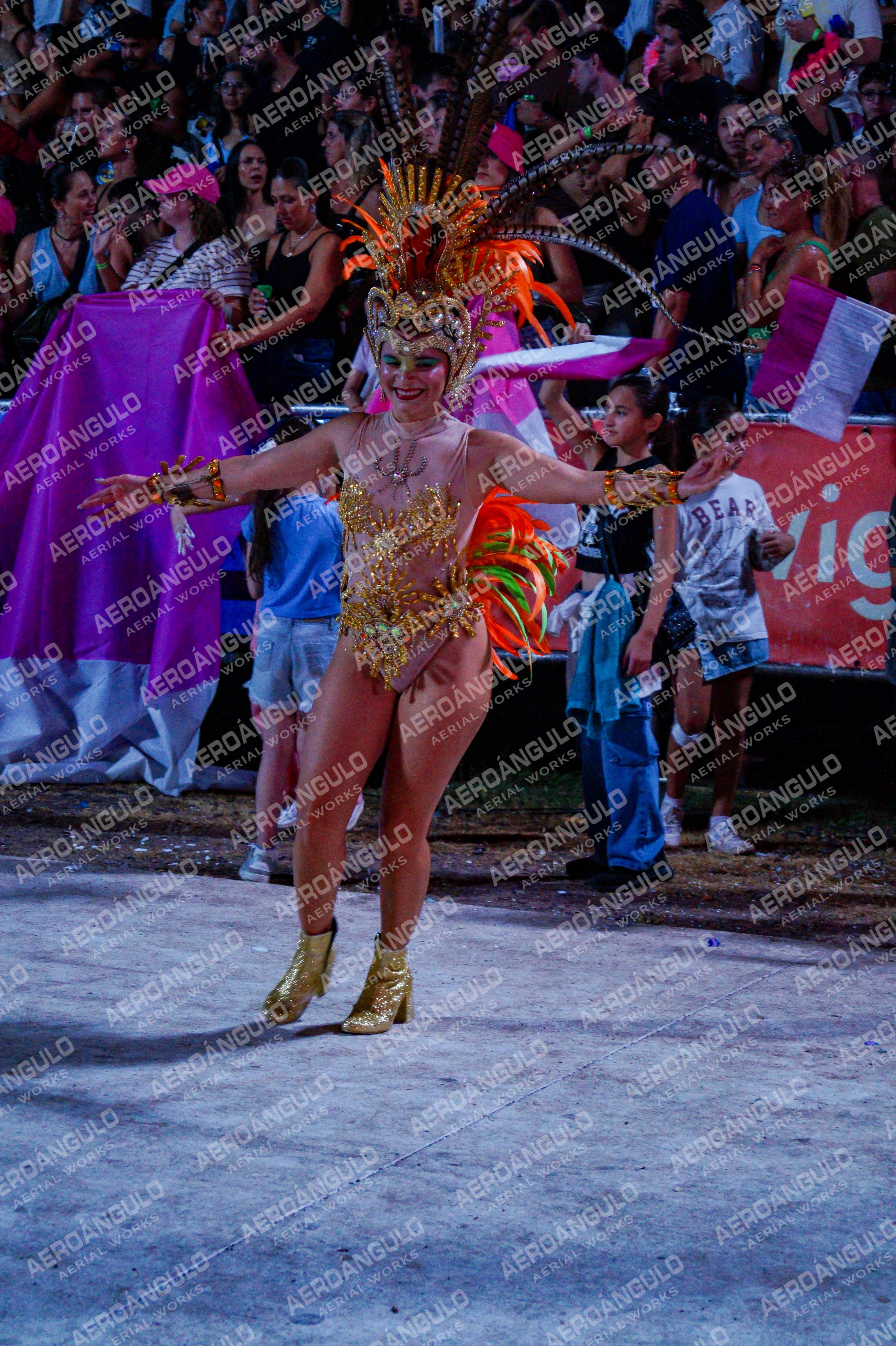 DIA3GOYA N°891
