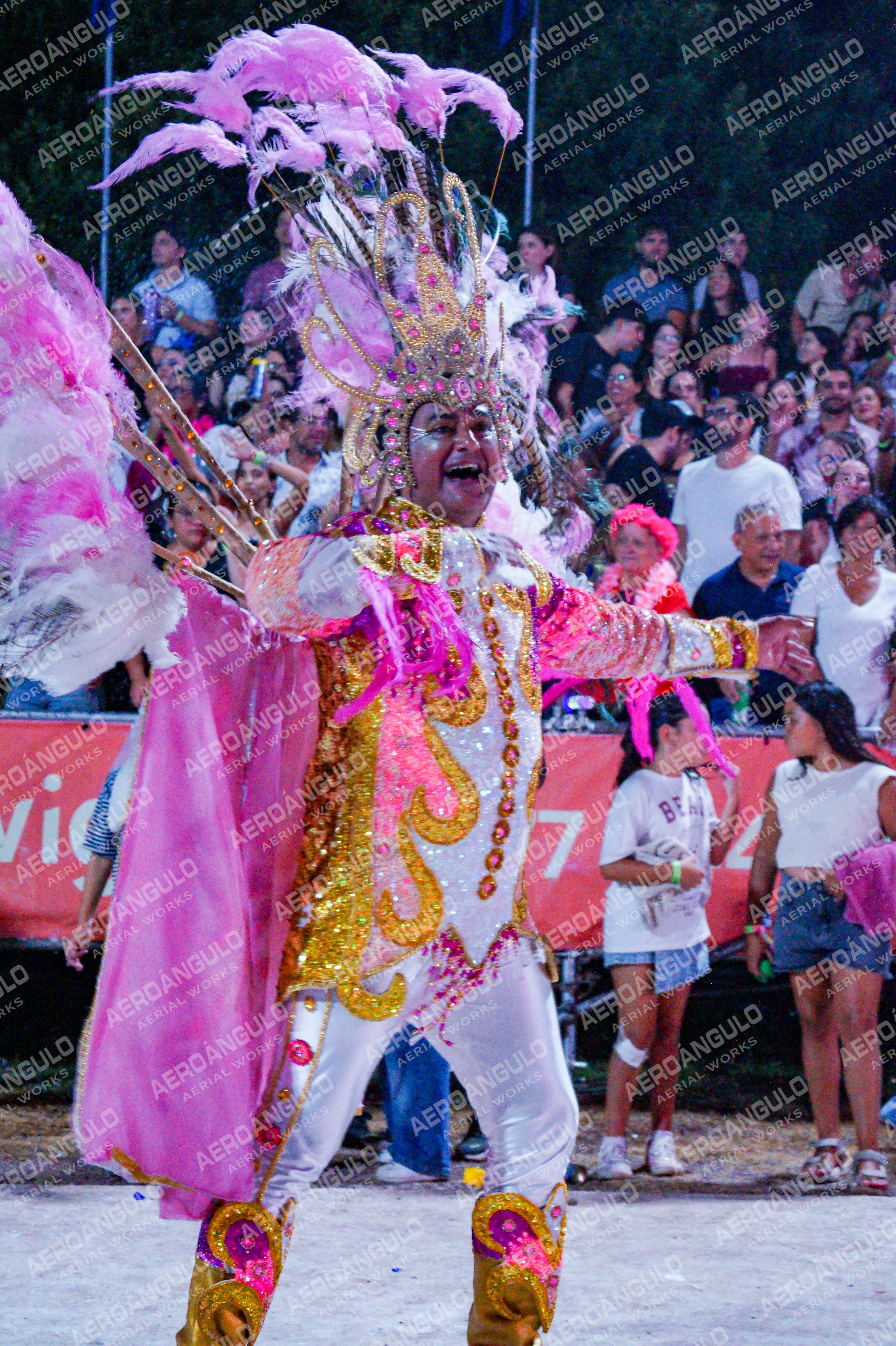 DIA3GOYA N°916