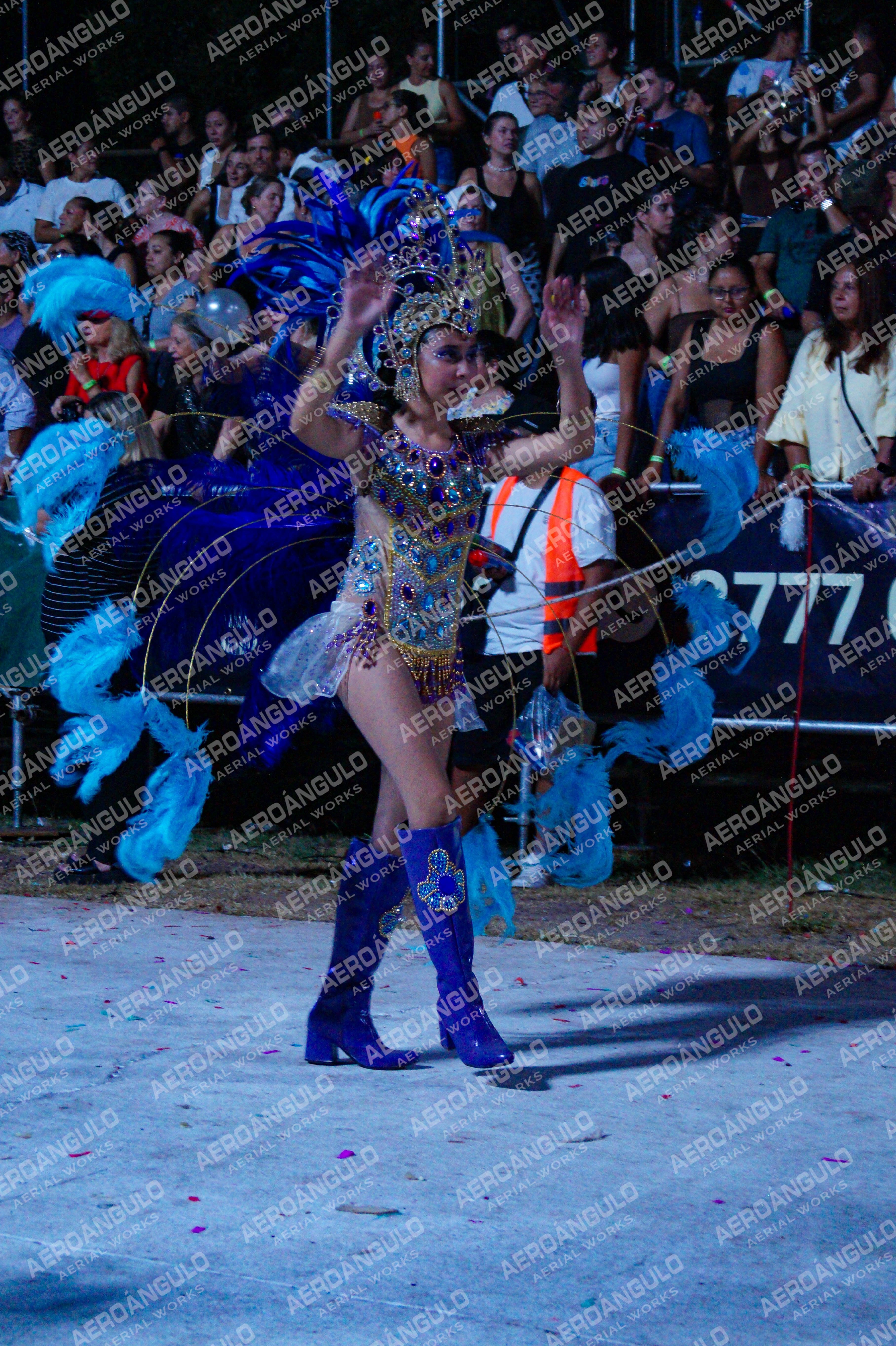 DIA3GOYA N°957
